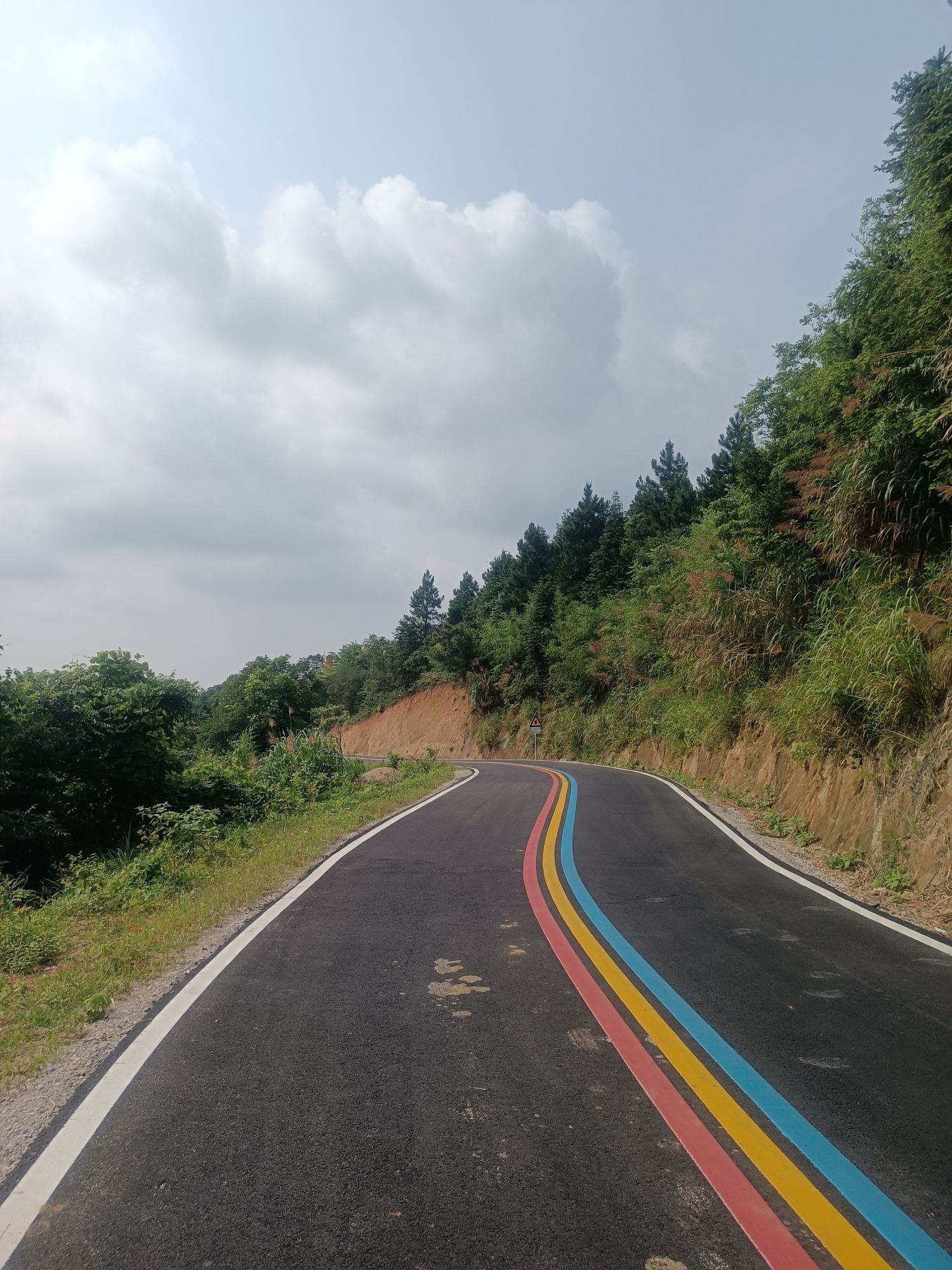 神鼎山森林公园旅行图片 2