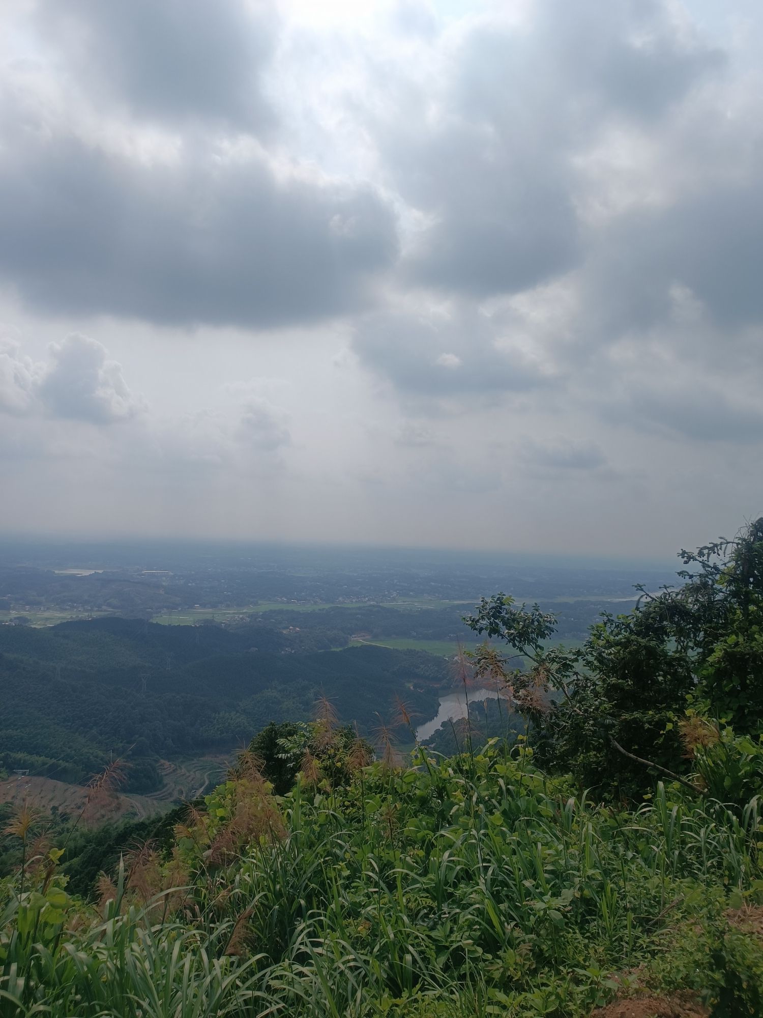 神鼎山森林公园旅行图片 3