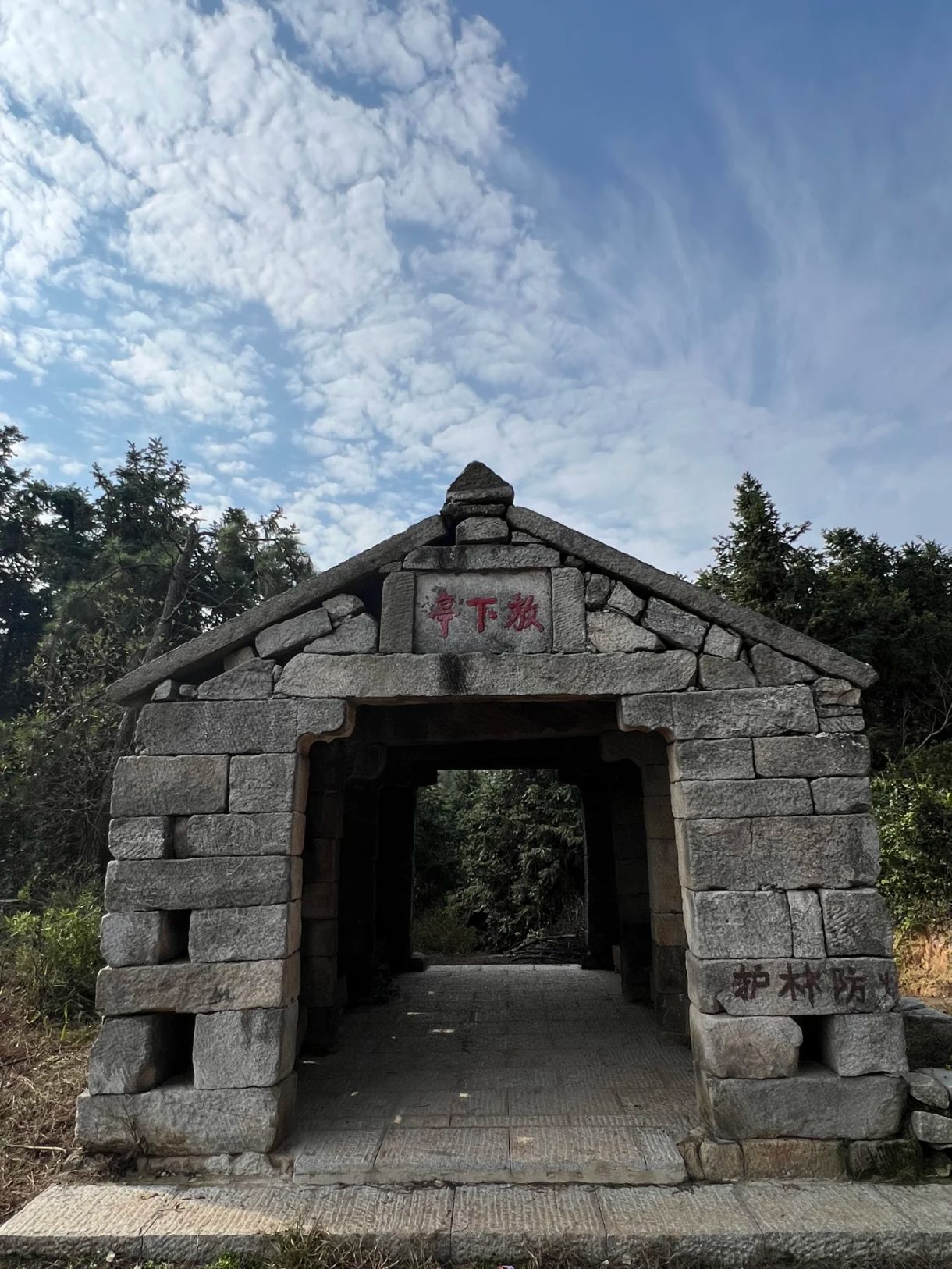 神鼎山森林公园旅行图片 3