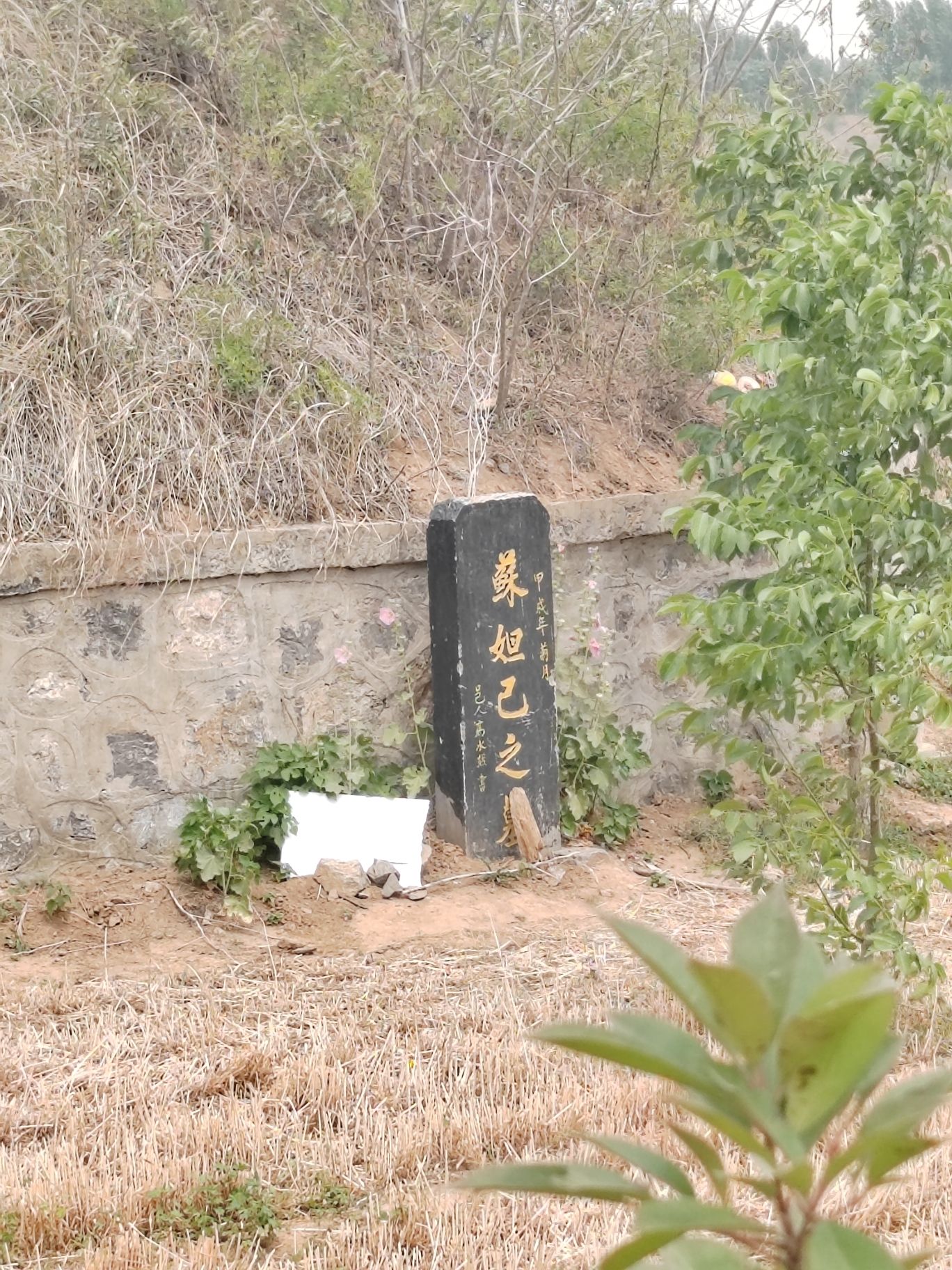 纣王墓旅行图片 3