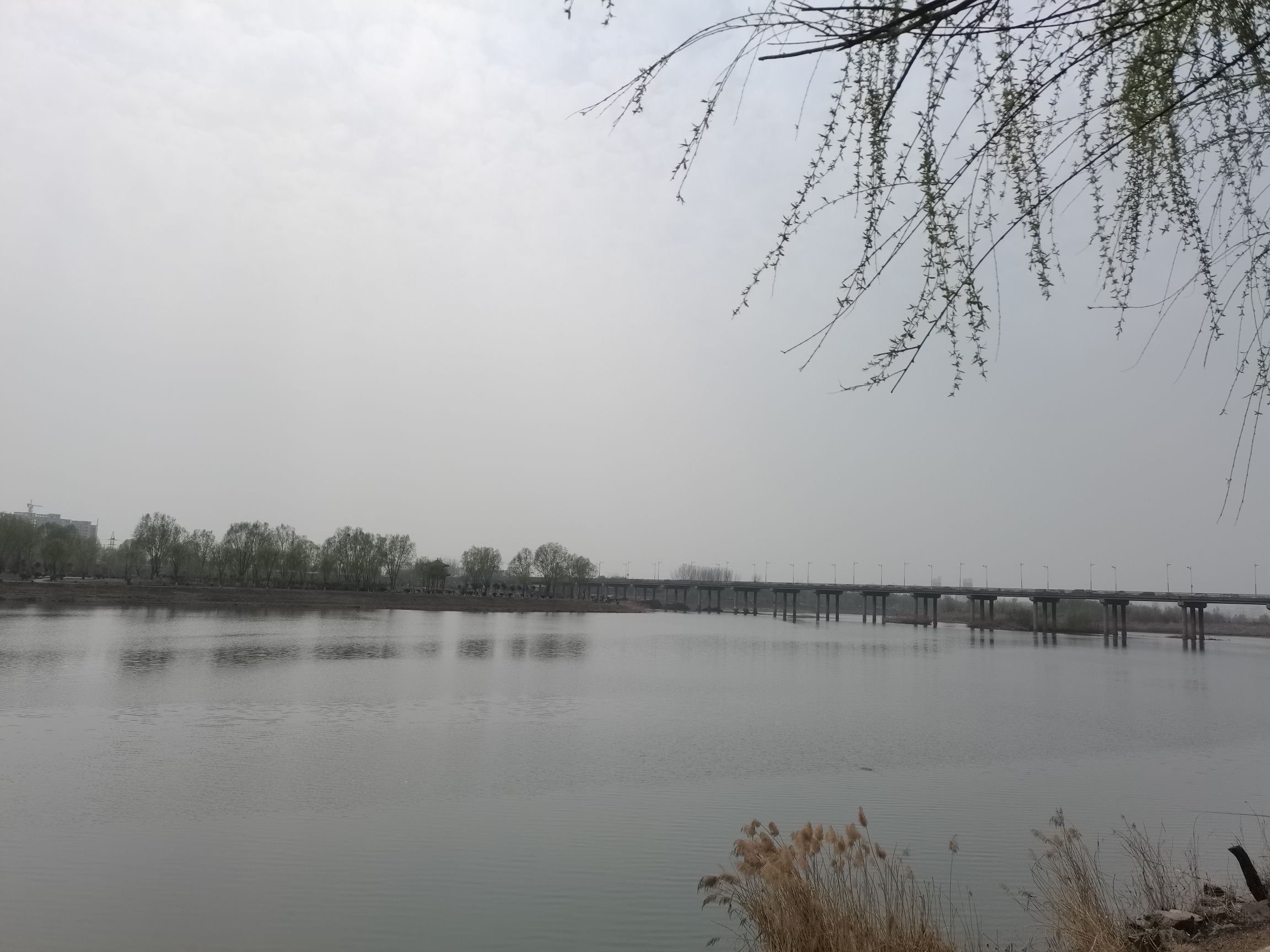 伊洛河湿地公园旅行图片 3