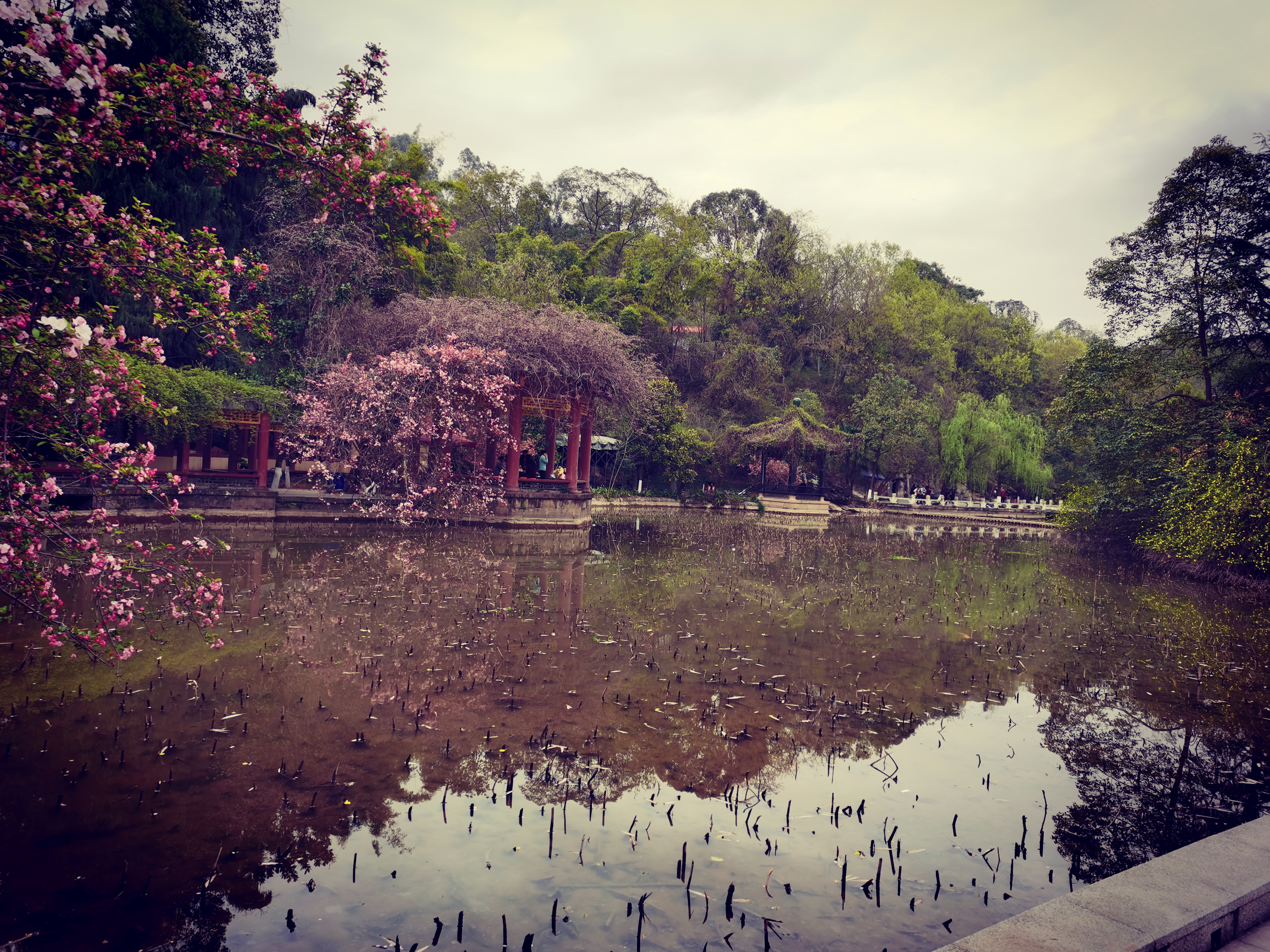 绵阳市富乐山公园-豫州园