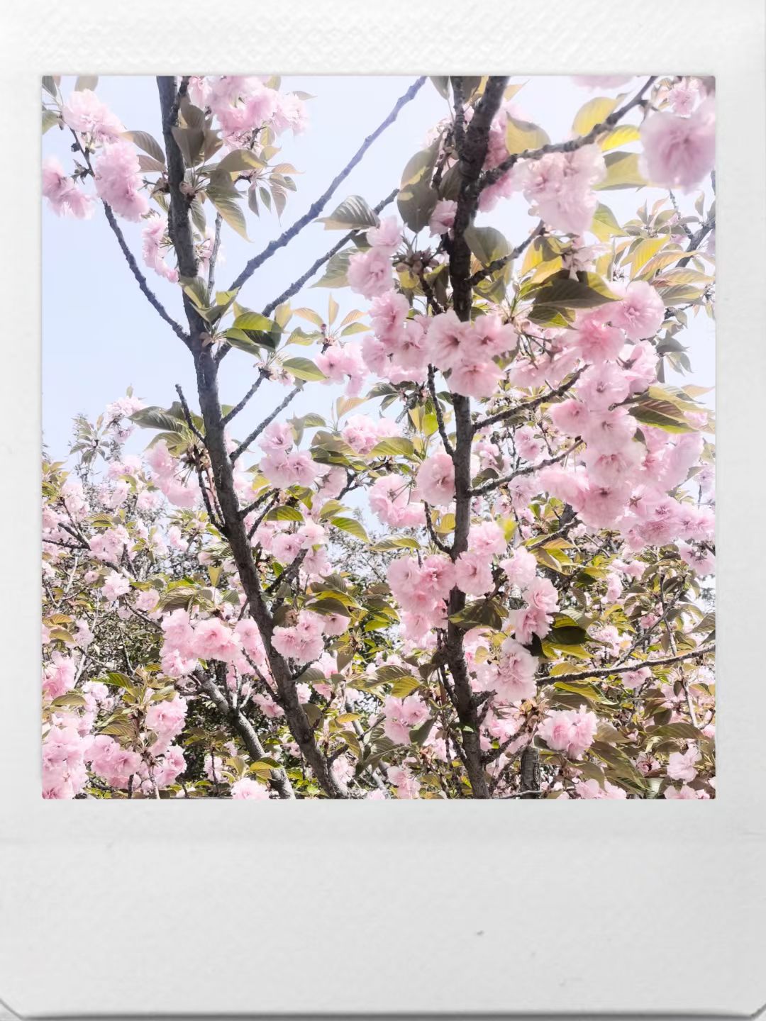 太原和平公园旅行图片 1