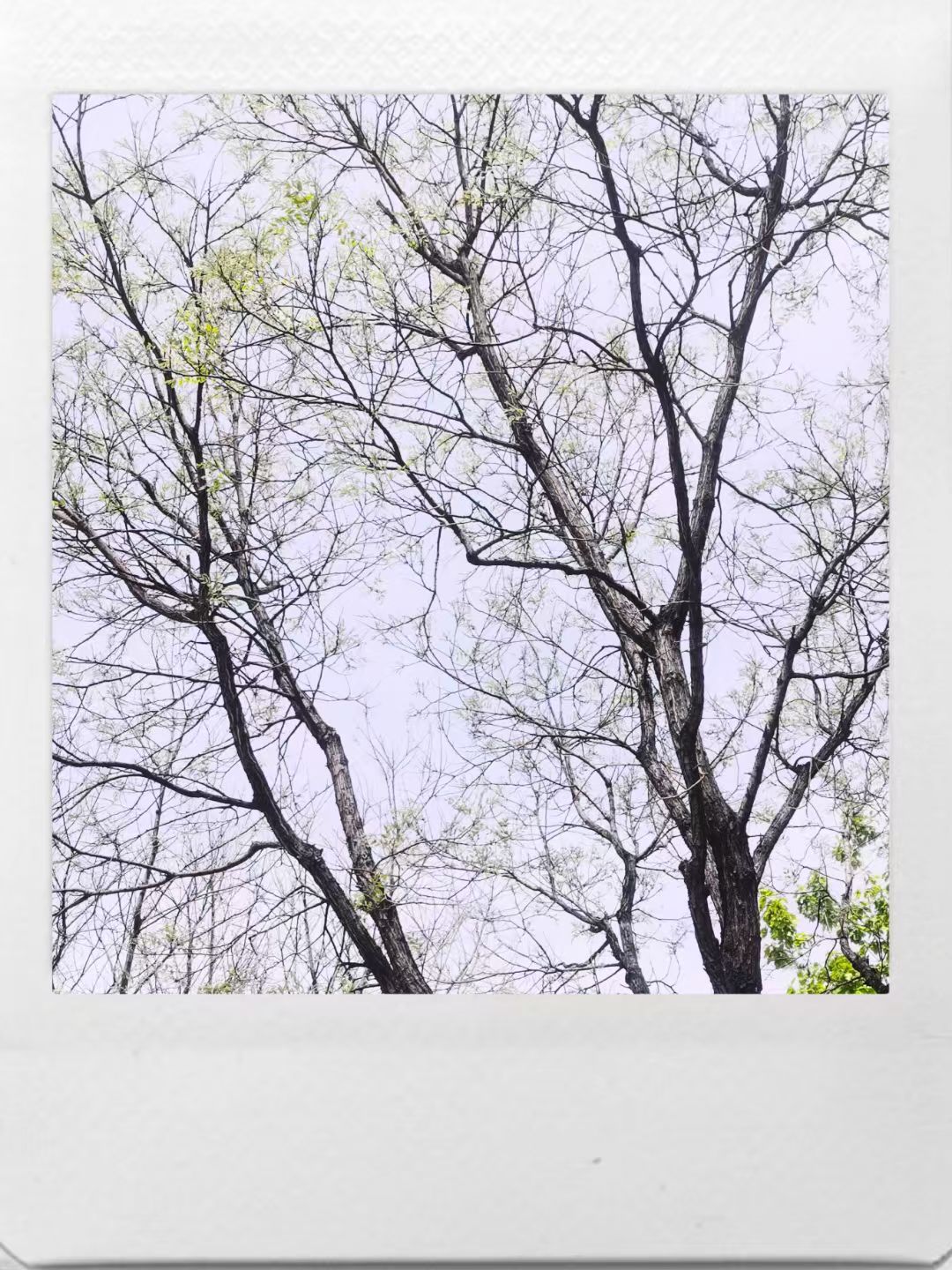 太原和平公园旅行图片 2