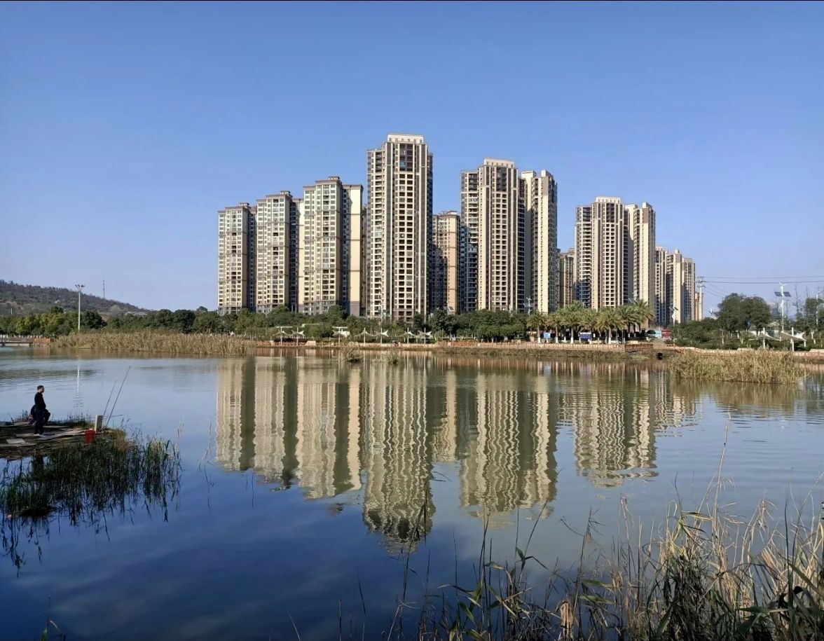 西河湿地公园旅行图片 2
