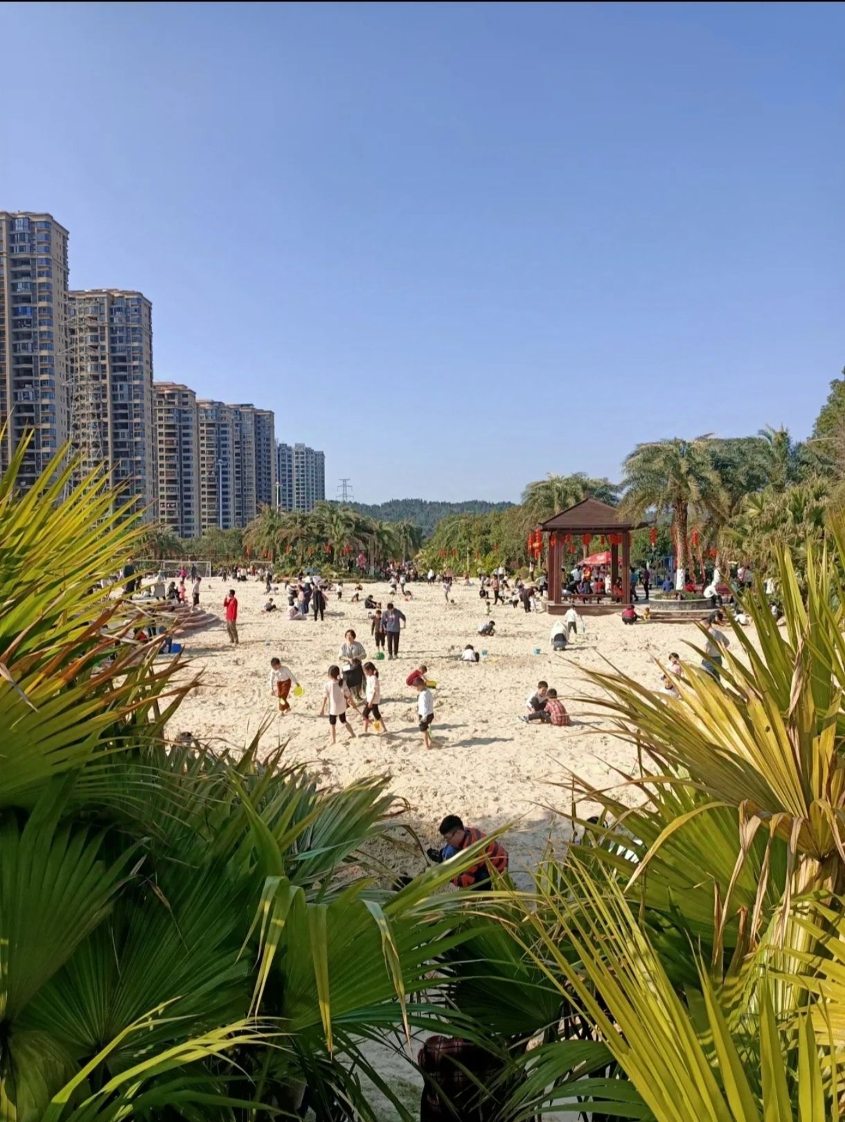 西河湿地公园旅行图片 1