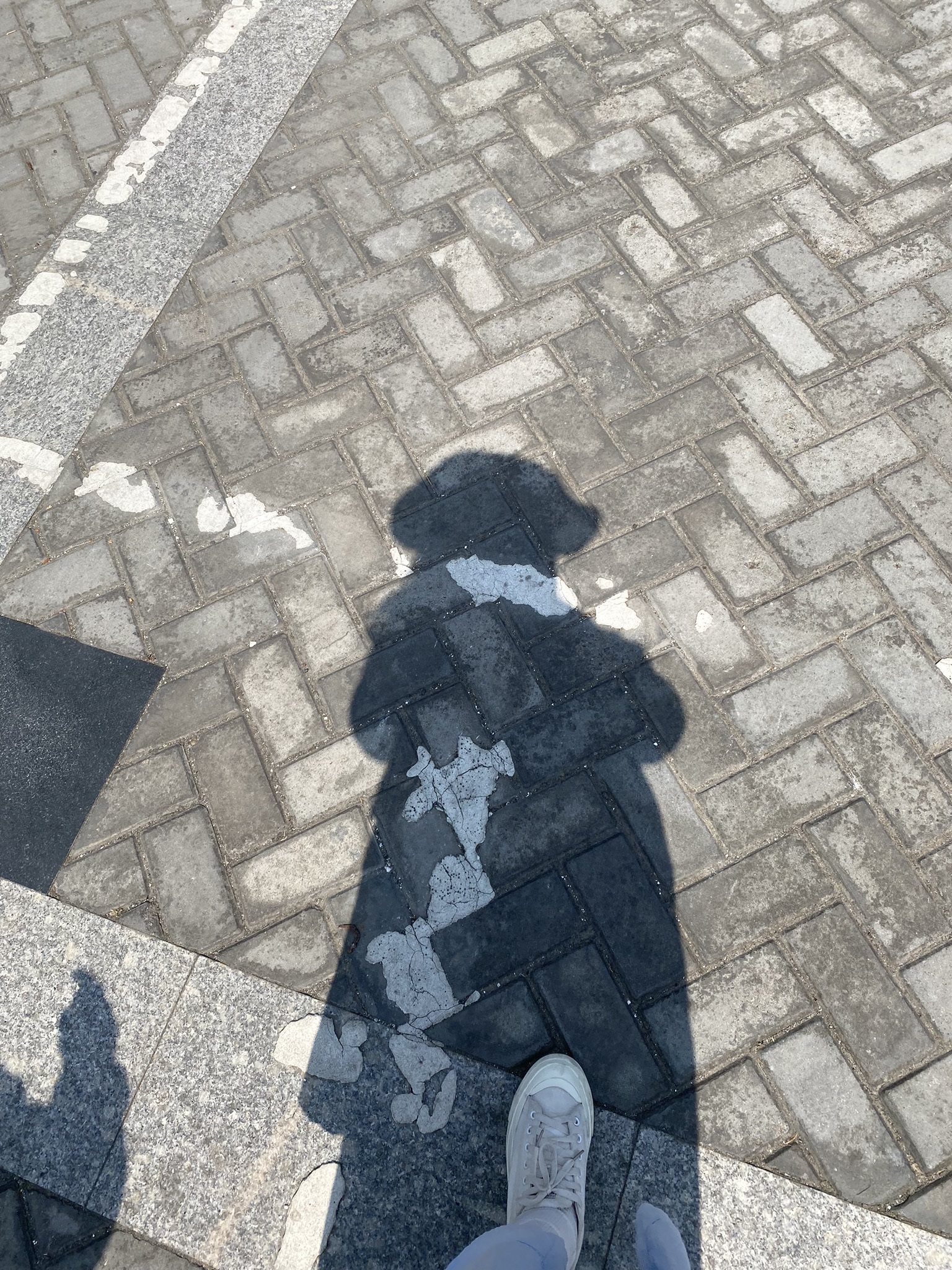 全民健身主题公园旅行图片 3