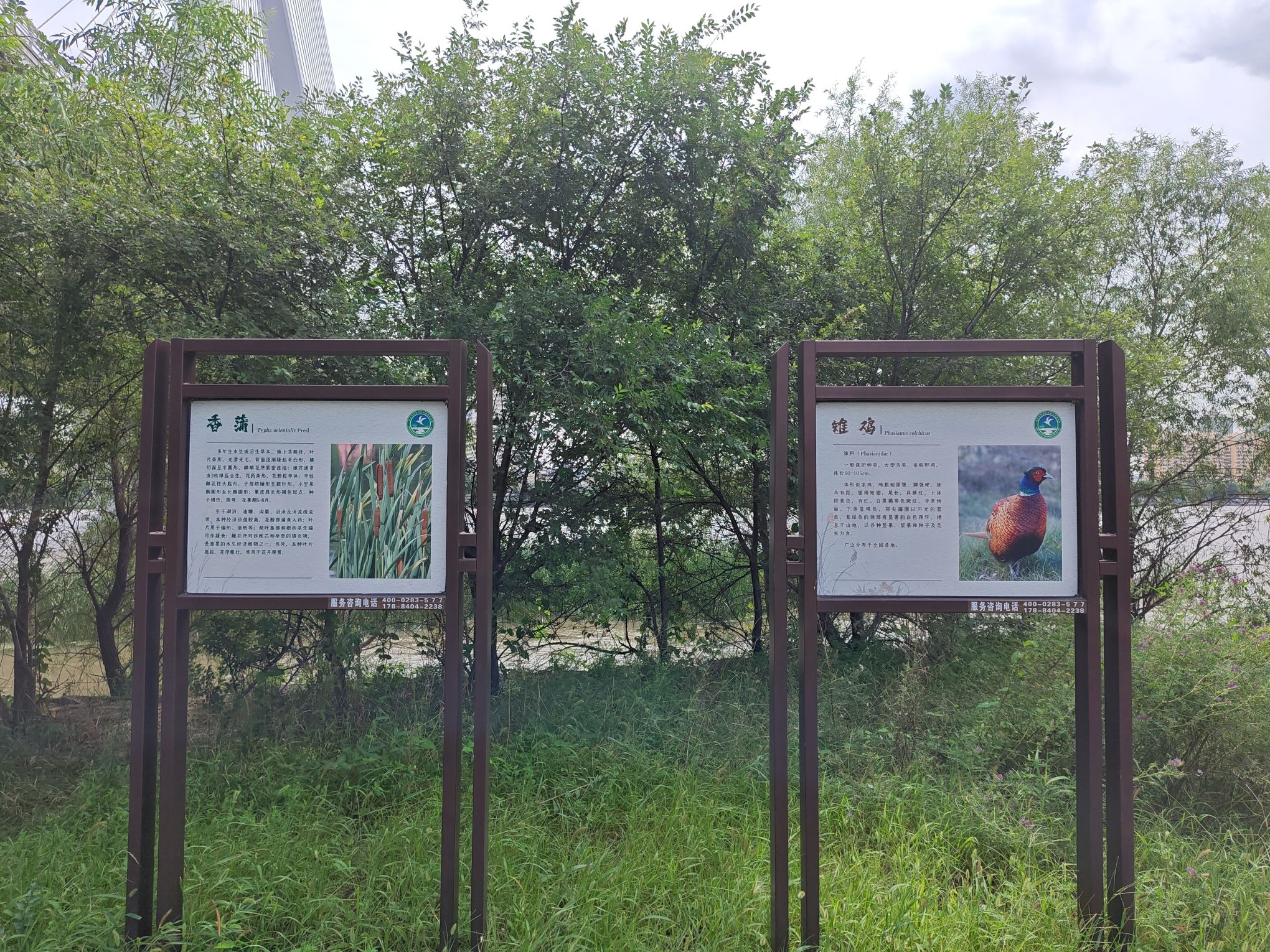 黑龙江哈尔滨阿勒锦岛国家湿地公园旅行图片 3
