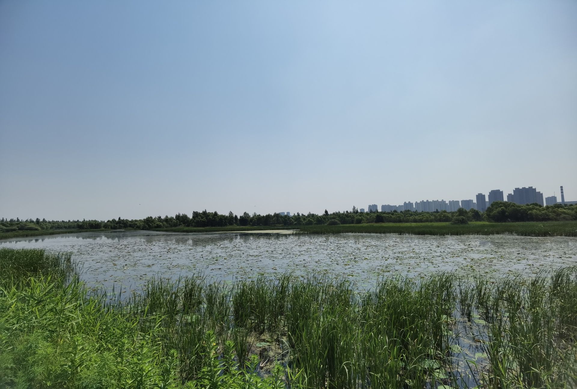 黑龙江哈尔滨阿勒锦岛国家湿地公园旅行图片 3