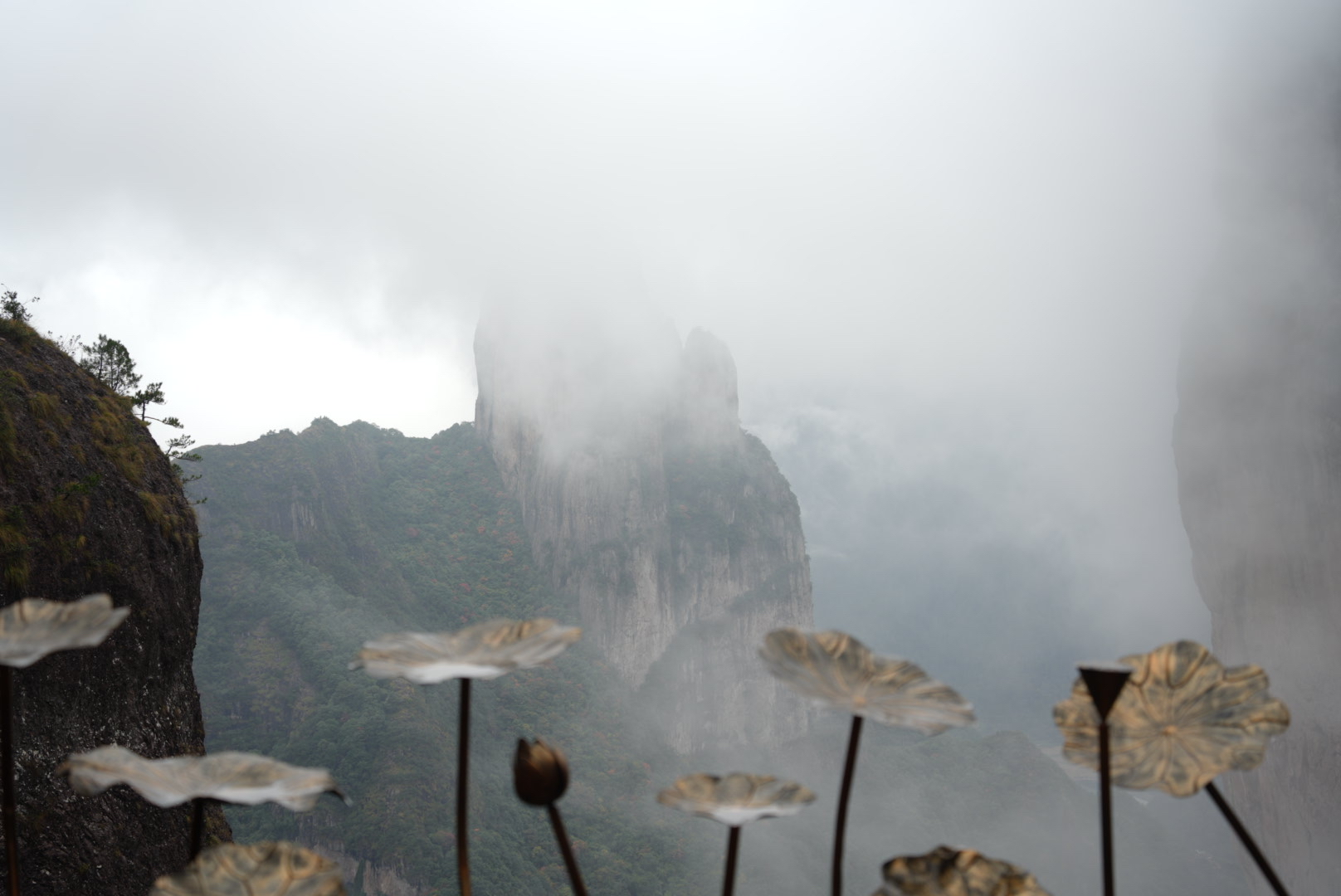 神仙居景区旅行图片 1