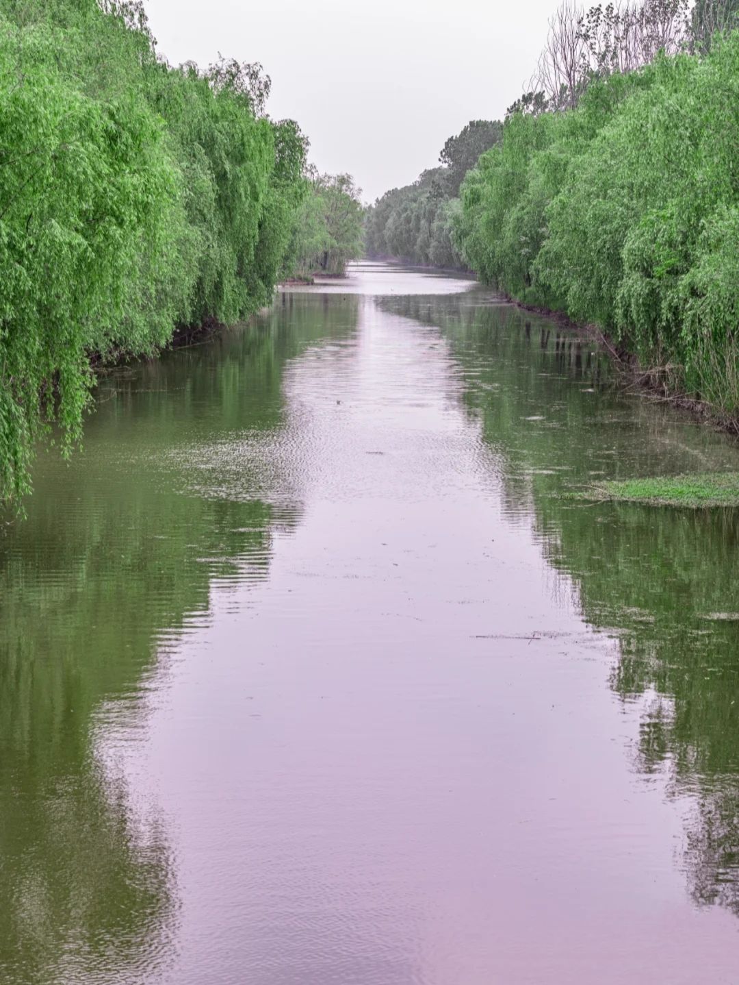 三汊河国家湿地公园旅行图片 1