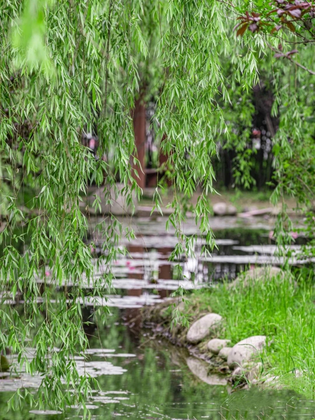 三汊河国家湿地公园旅行图片 3