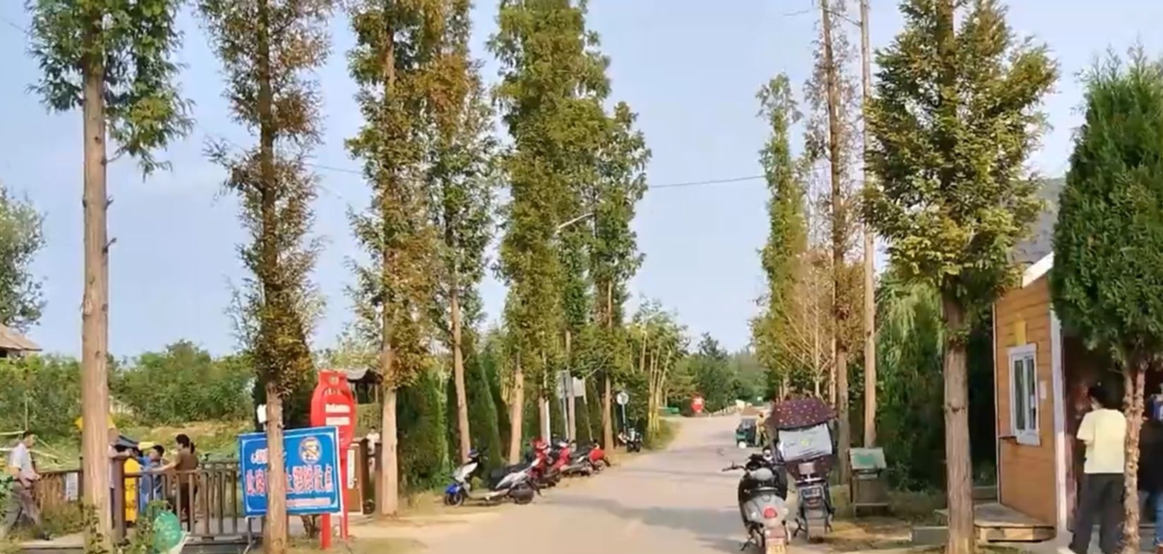 三汊河国家湿地公园旅行图片 2
