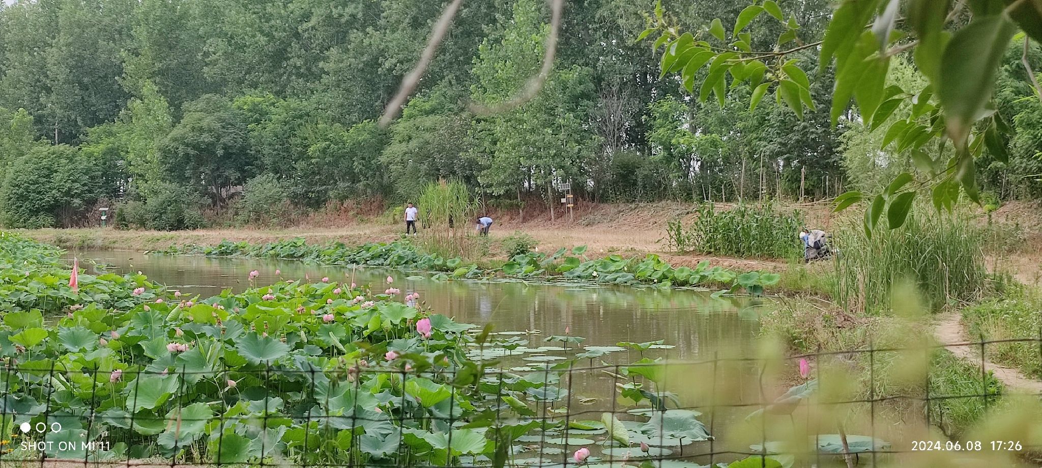 三汊河国家湿地公园旅行图片 1