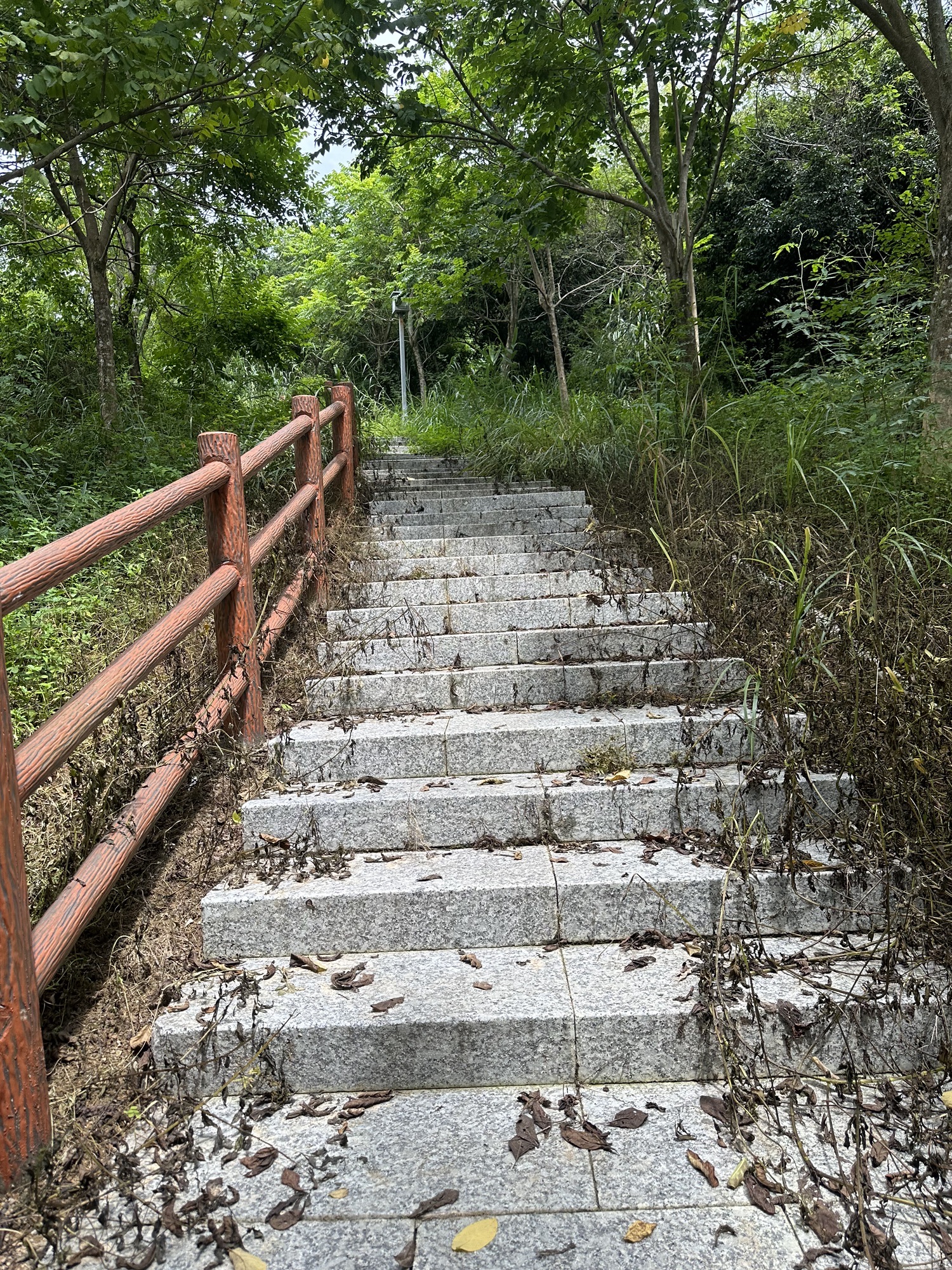 稔山森林公园旅行图片 3