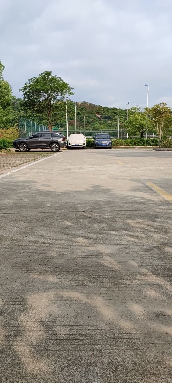 稔山森林公园旅行图片 1