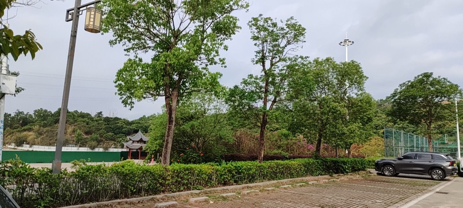 稔山森林公园旅行图片 2