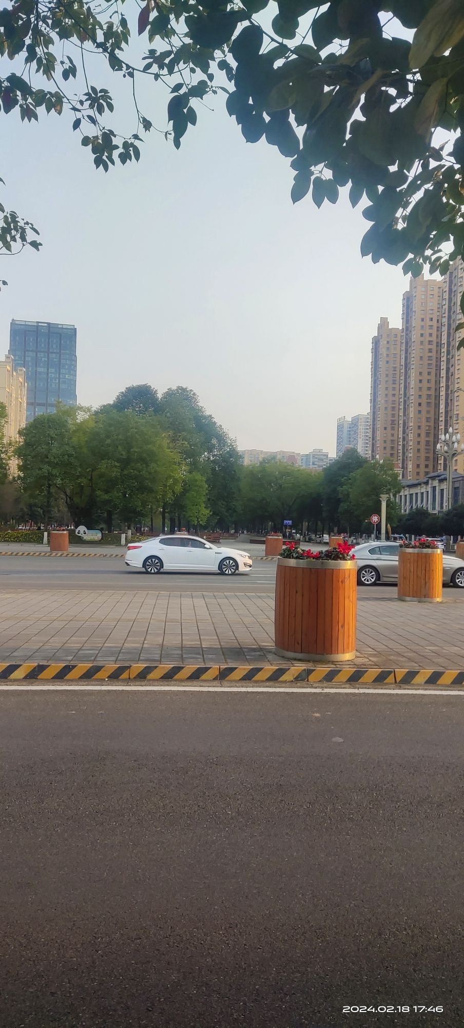 中央水体公园旅行图片 3