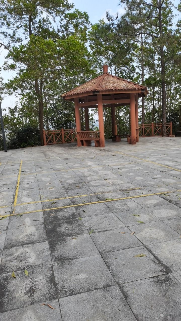 合山森林公园旅行图片 3