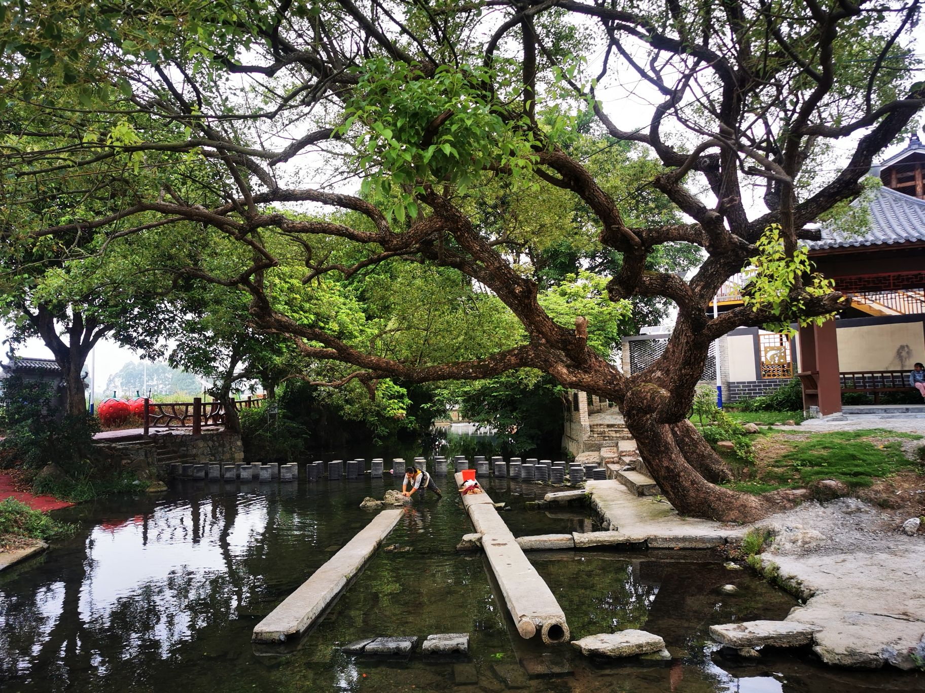 黄肇熙庄园旅行图片 2