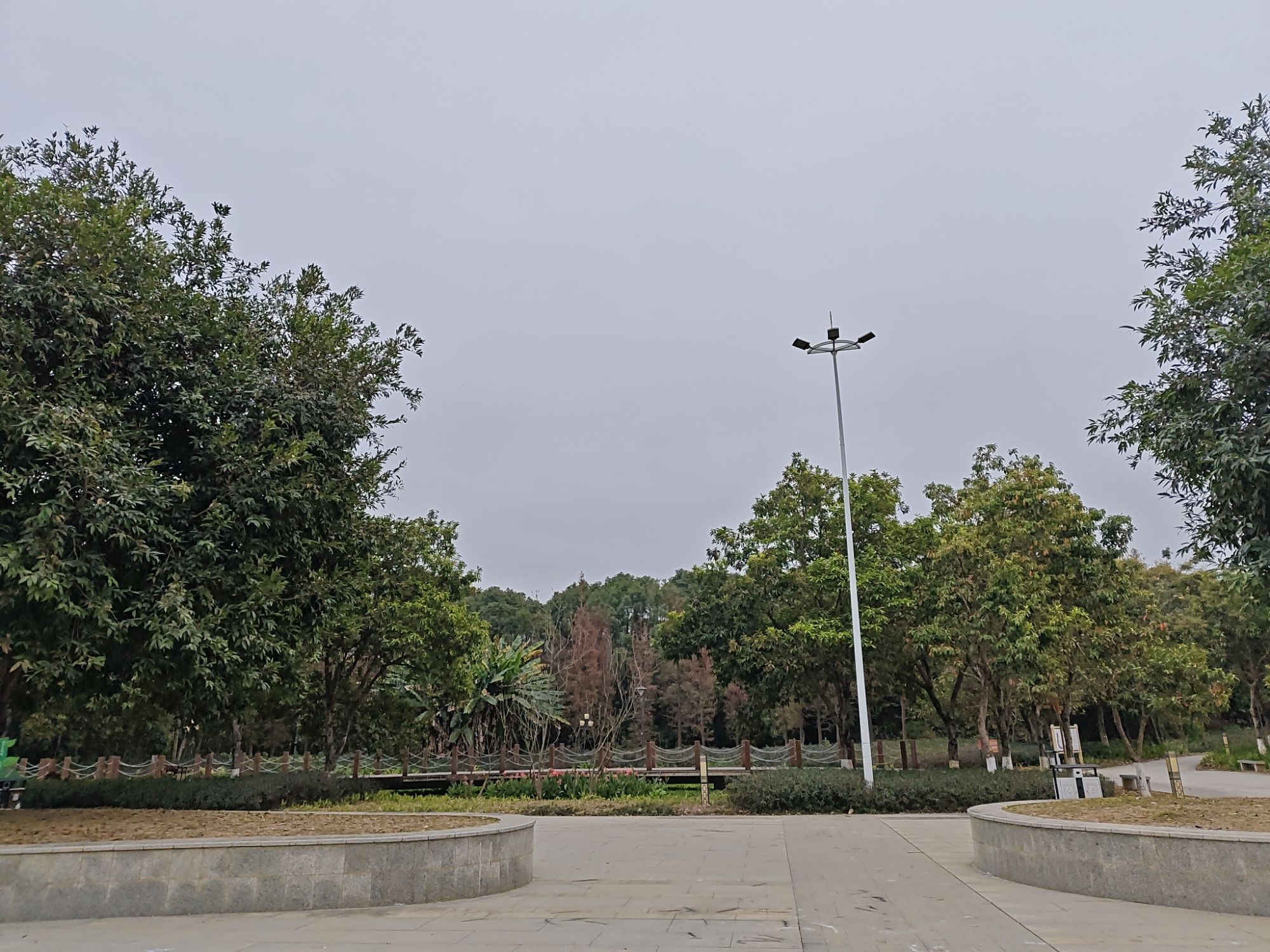 芹洋半岛滨水湿地公园旅行图片 3