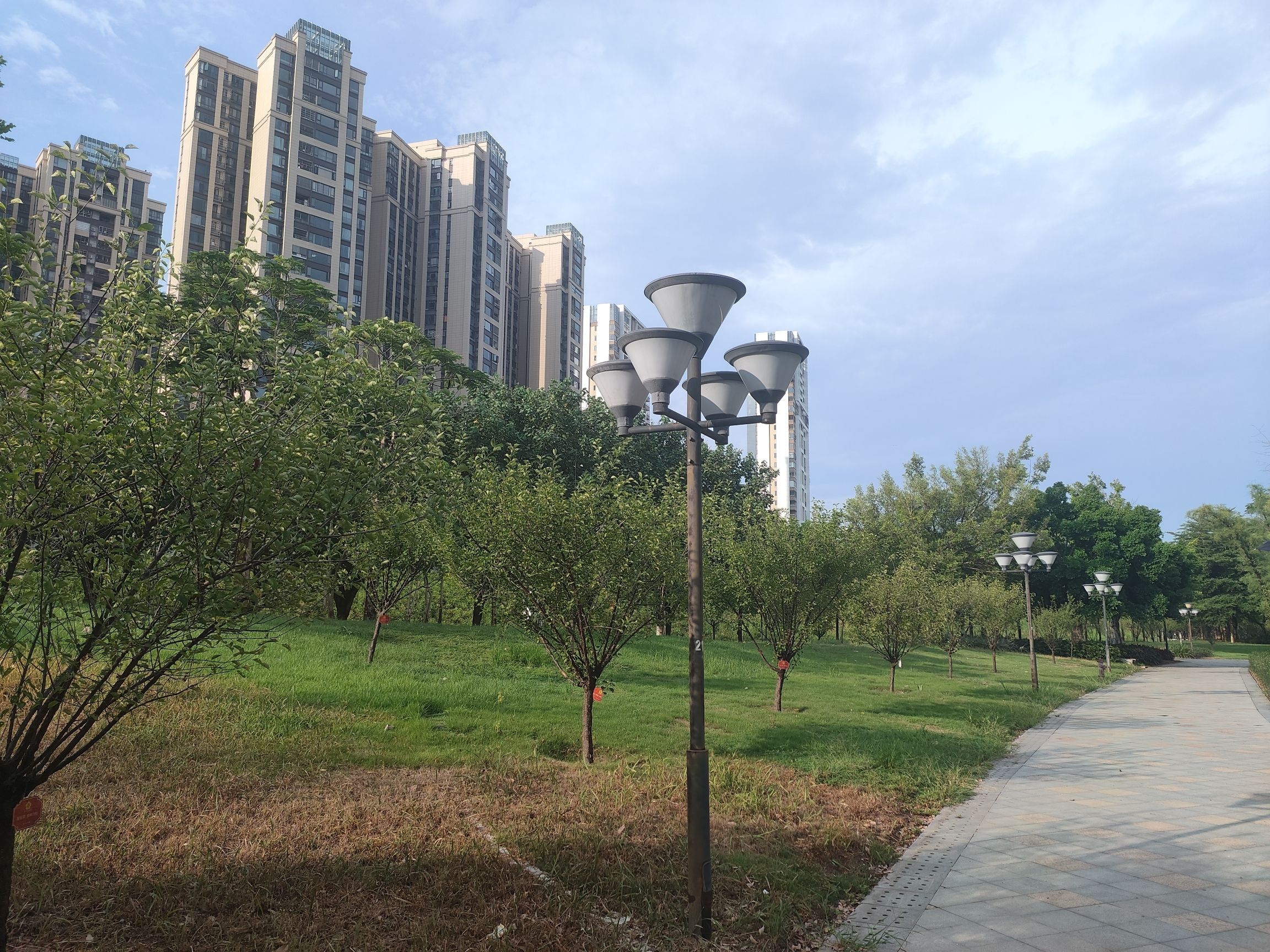 芹洋半岛滨水湿地公园旅行图片 3