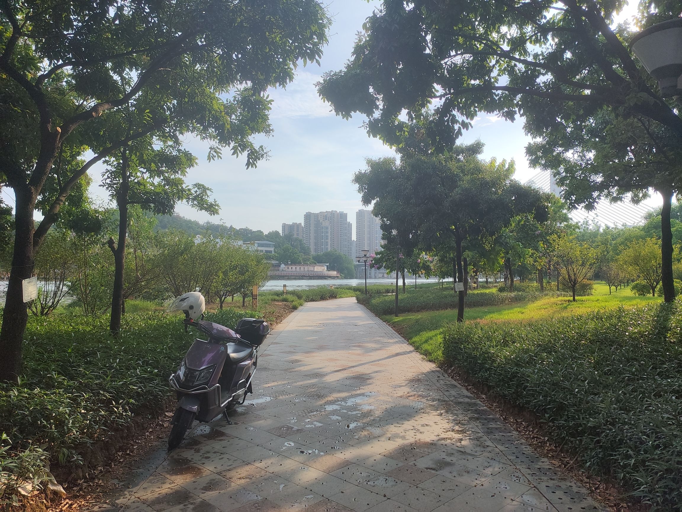 芹洋半岛滨水湿地公园旅行图片 2