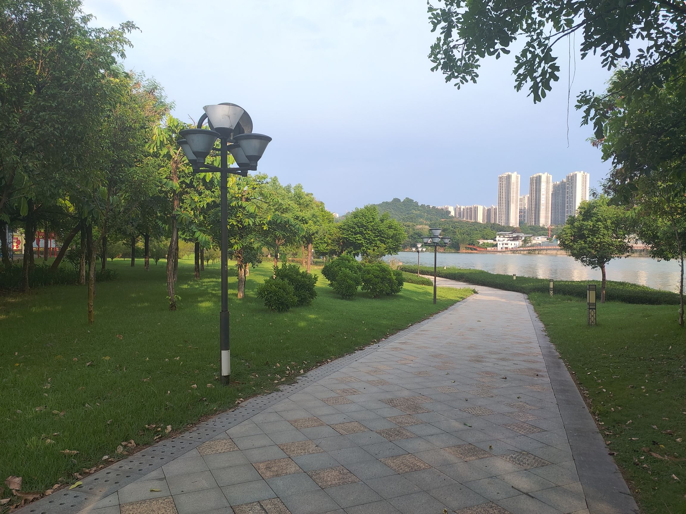 芹洋半岛滨水湿地公园旅行图片 1