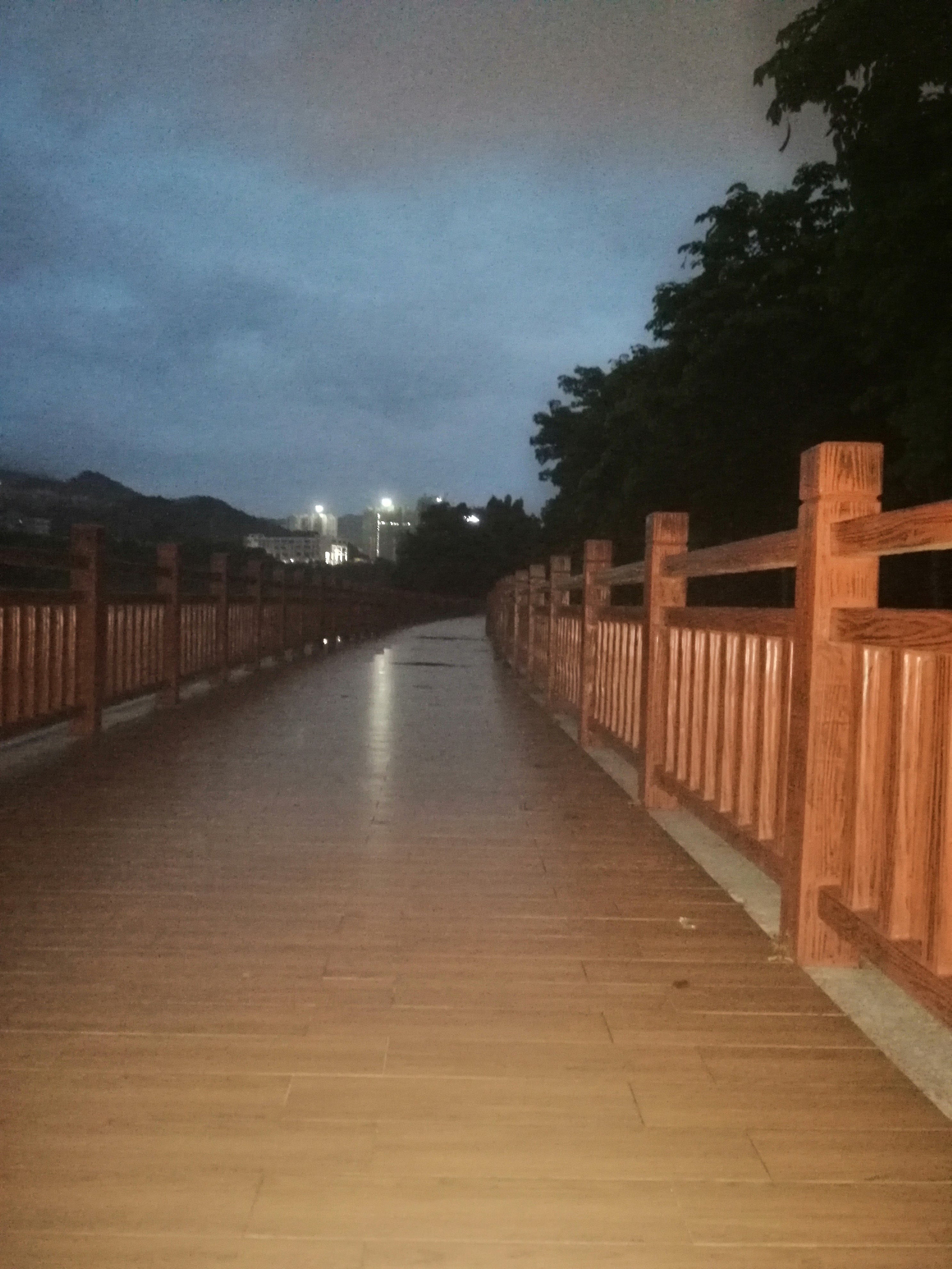 芹洋半岛滨水湿地公园旅行图片 1