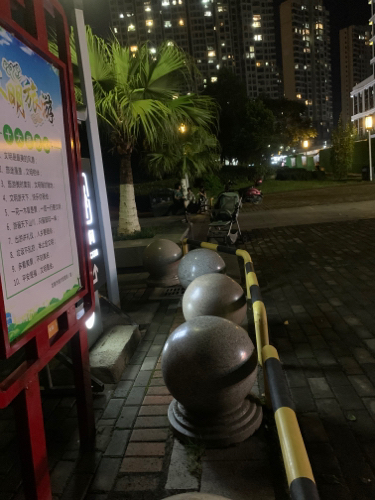 东湖公园旅行图片 2