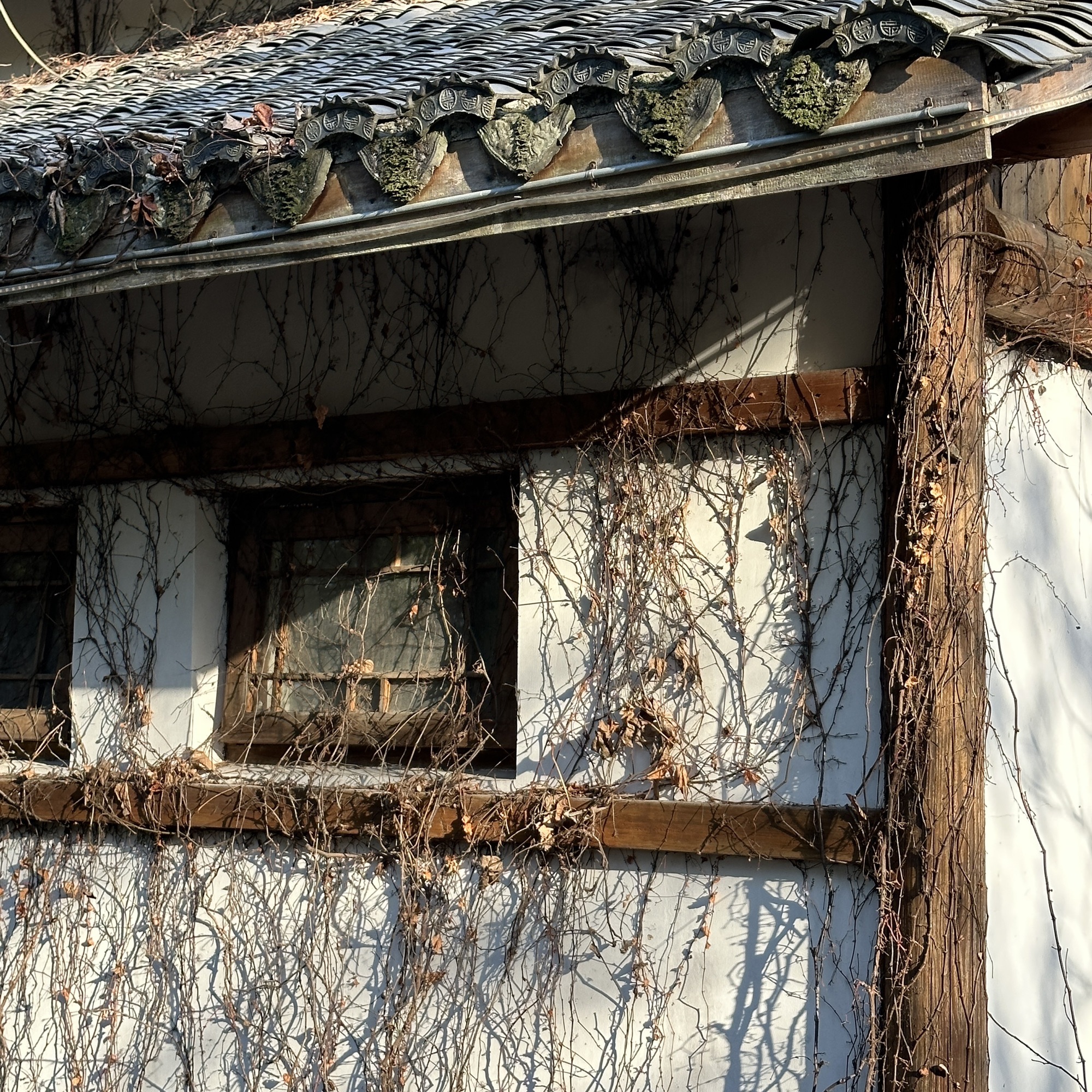 东湖公园旅行图片 1