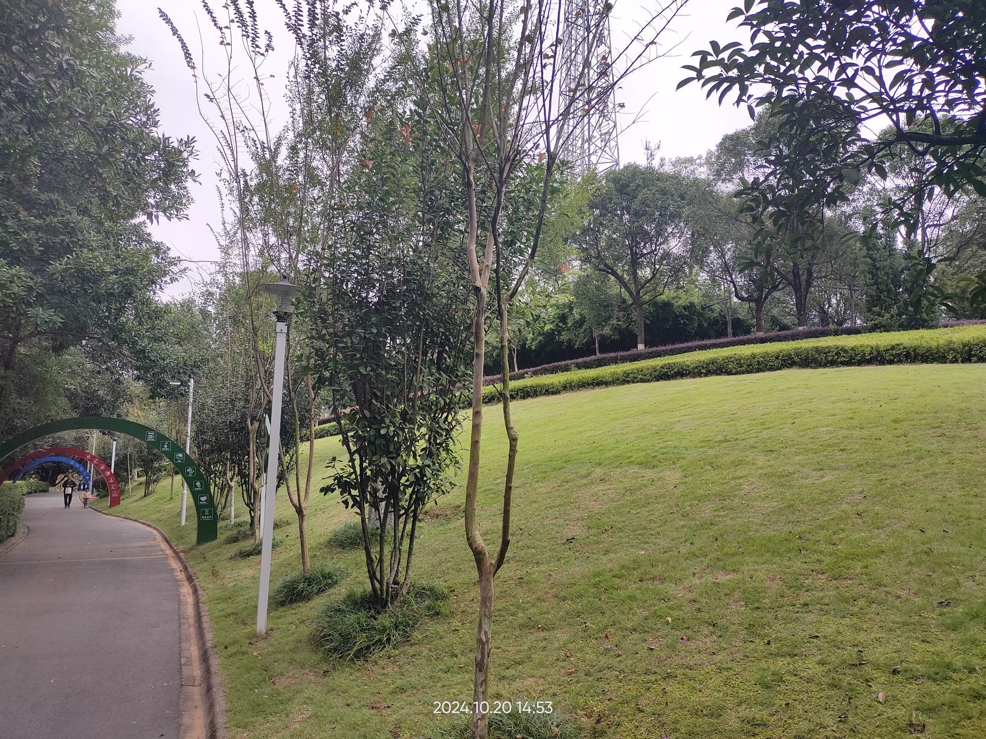 东湖公园旅行图片 3