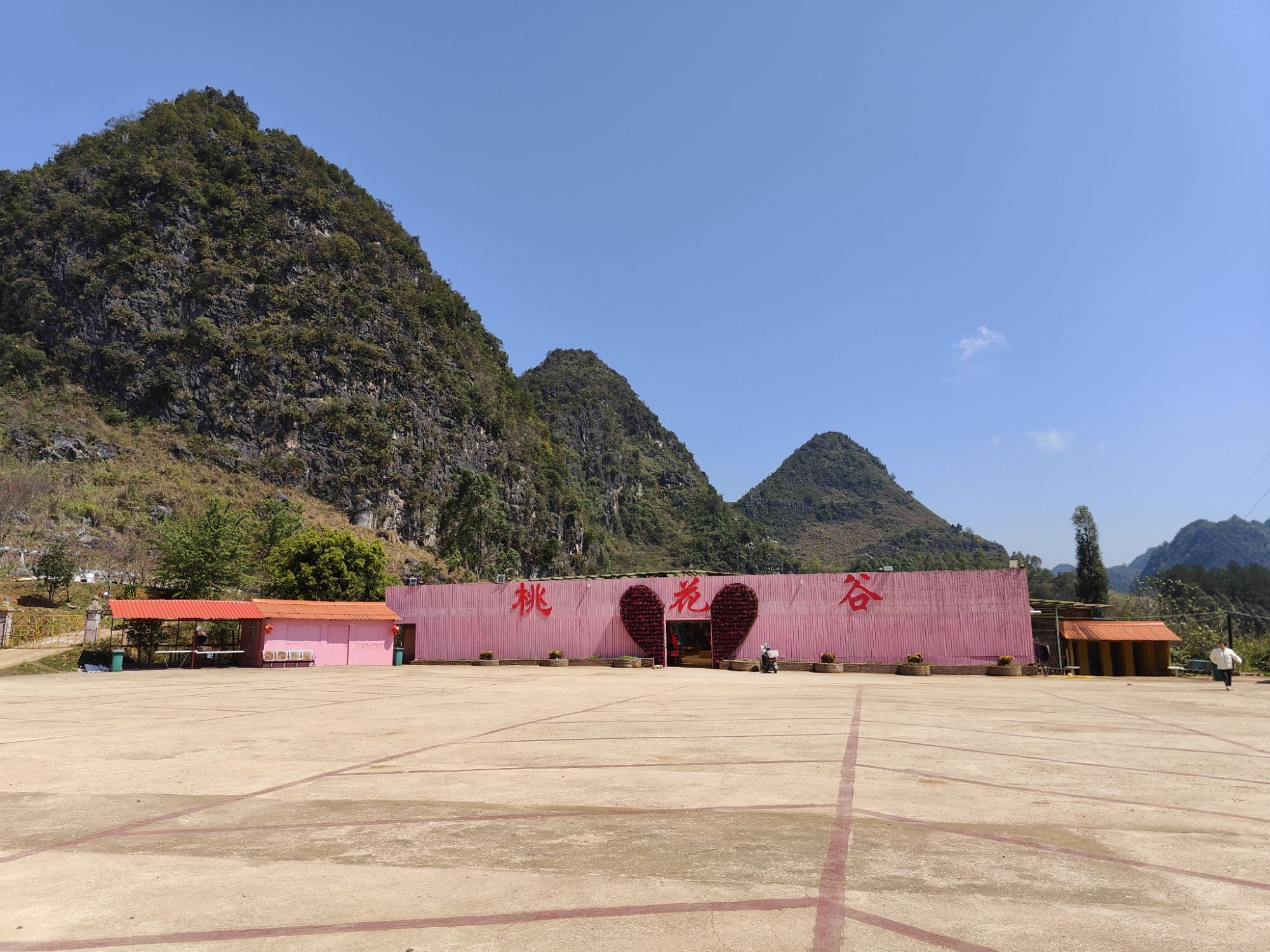 靖西桃花谷旅行图片 3