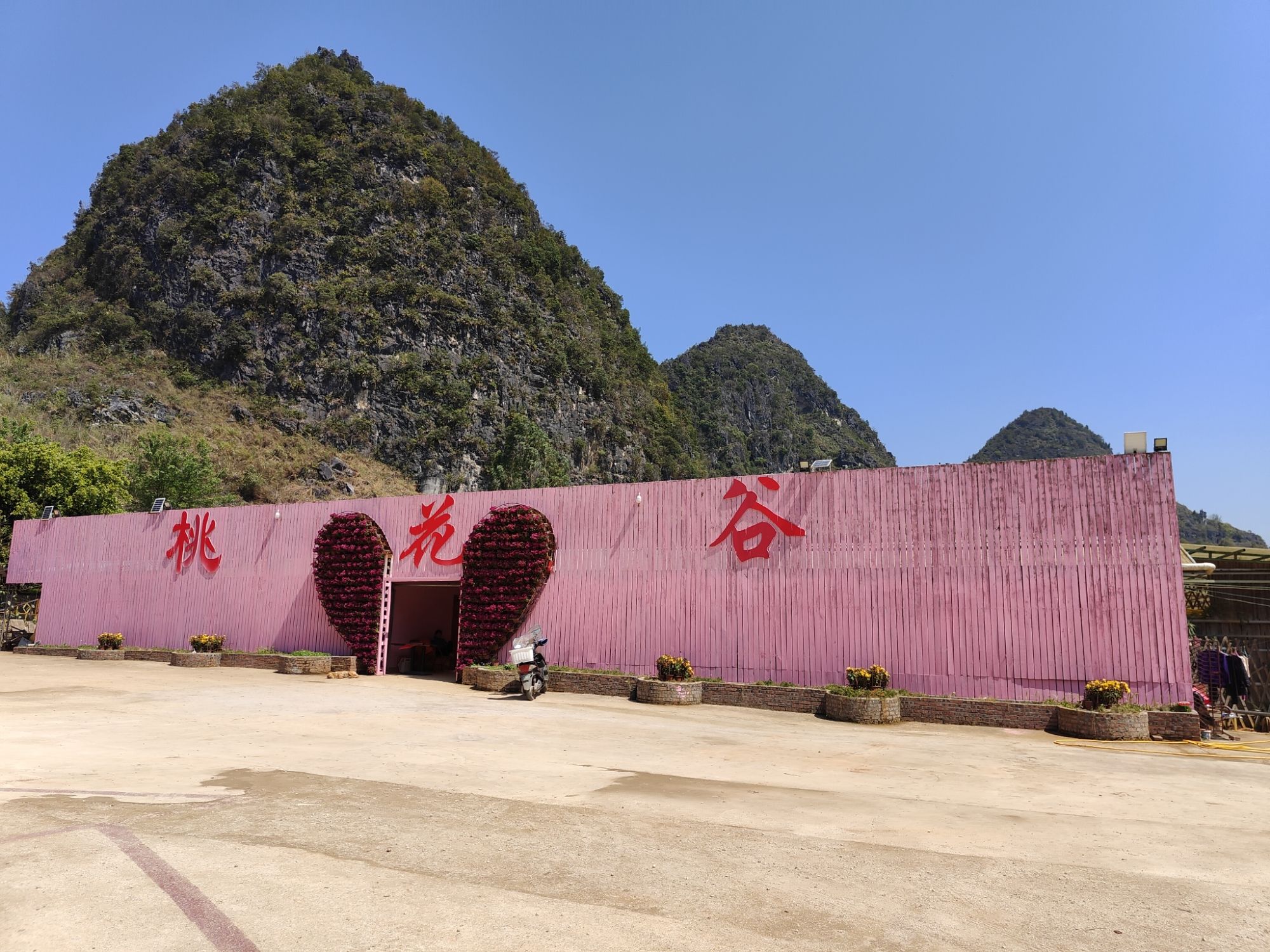 靖西桃花谷旅行图片 1