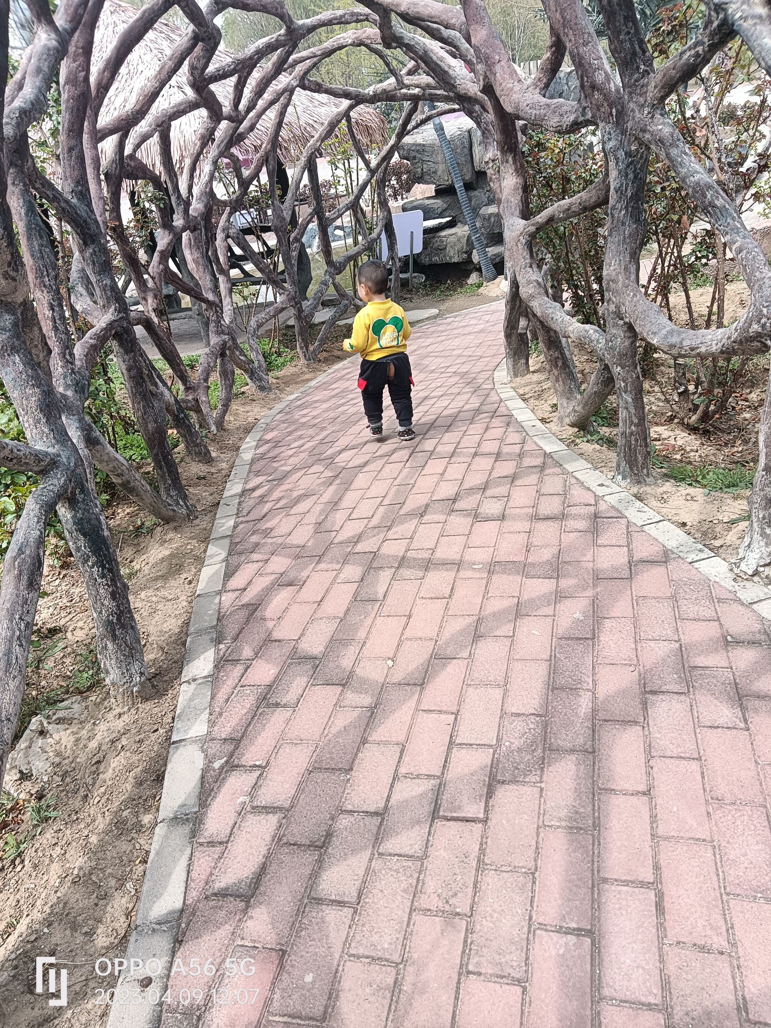 世界月季主题园旅行图片 2