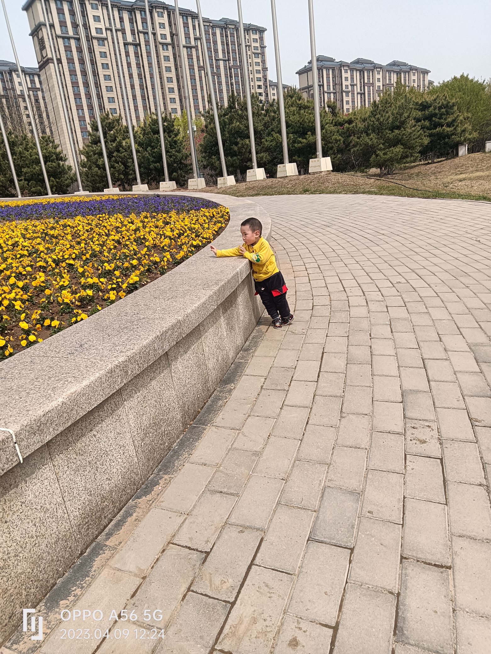 世界月季主题园旅行图片 3