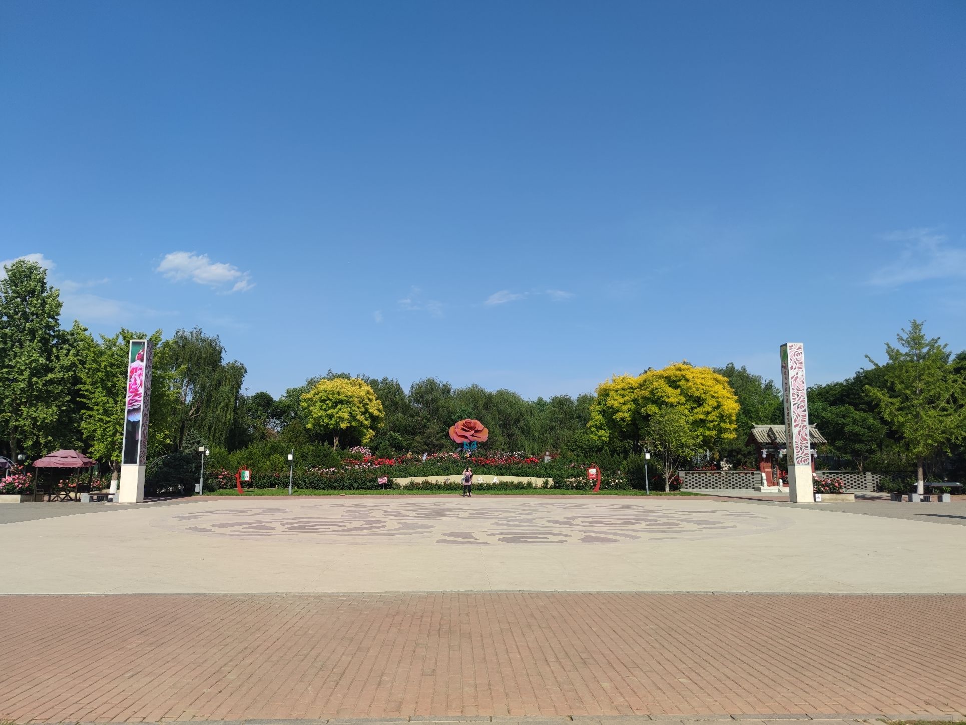 世界月季主题园旅行图片 2