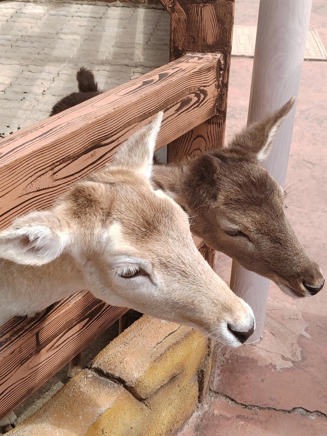 花海欢乐世界旅行图片 3