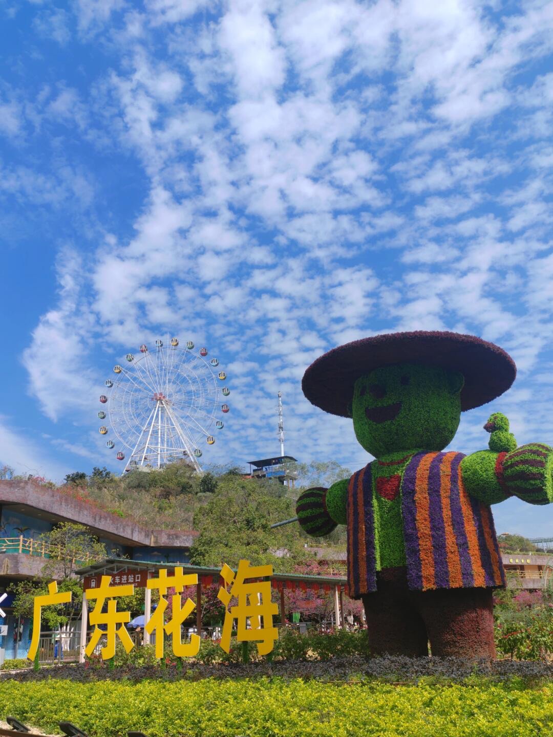 花海欢乐世界旅行图片 1