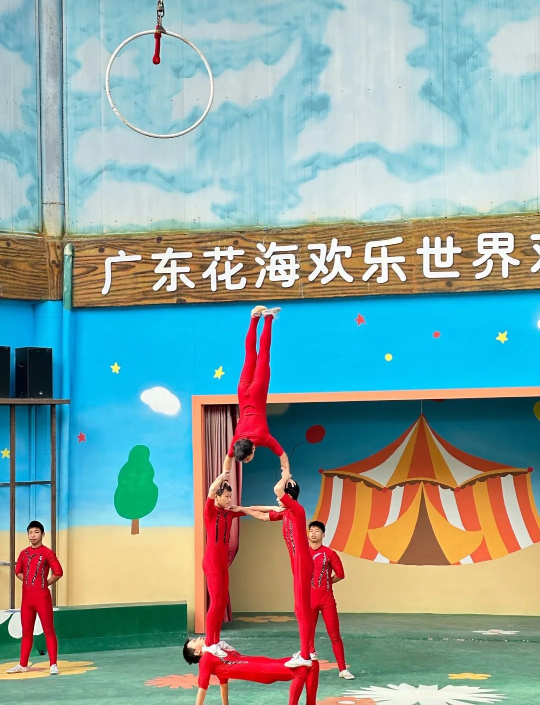 花海欢乐世界旅行图片 3