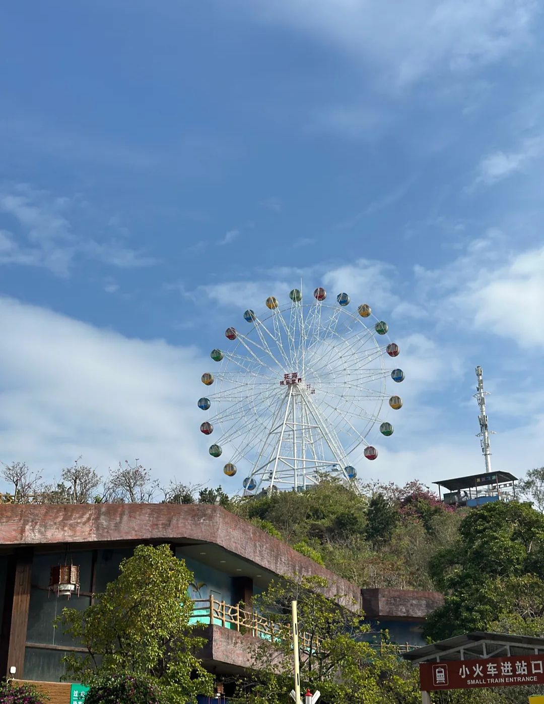 花海欢乐世界旅行图片 2