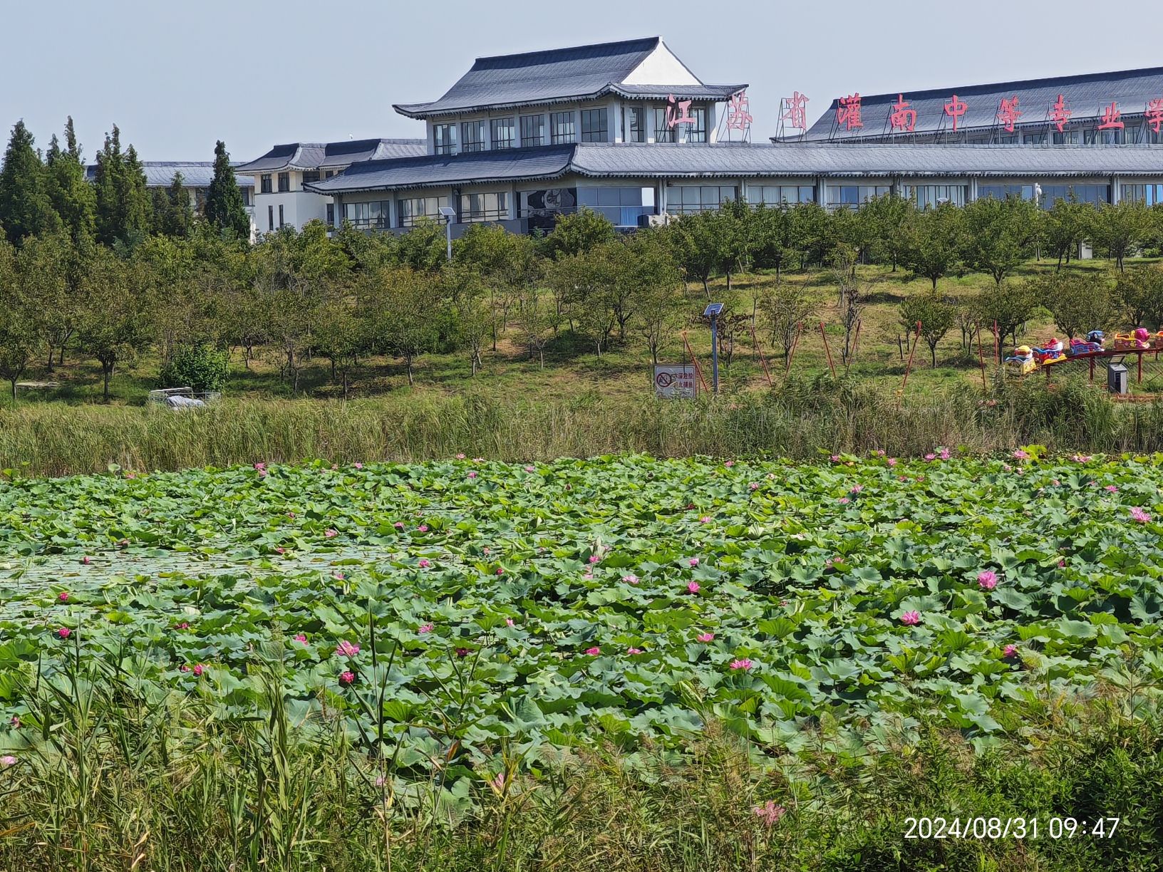 灌南县硕项湖湿地公园旅行图片 1