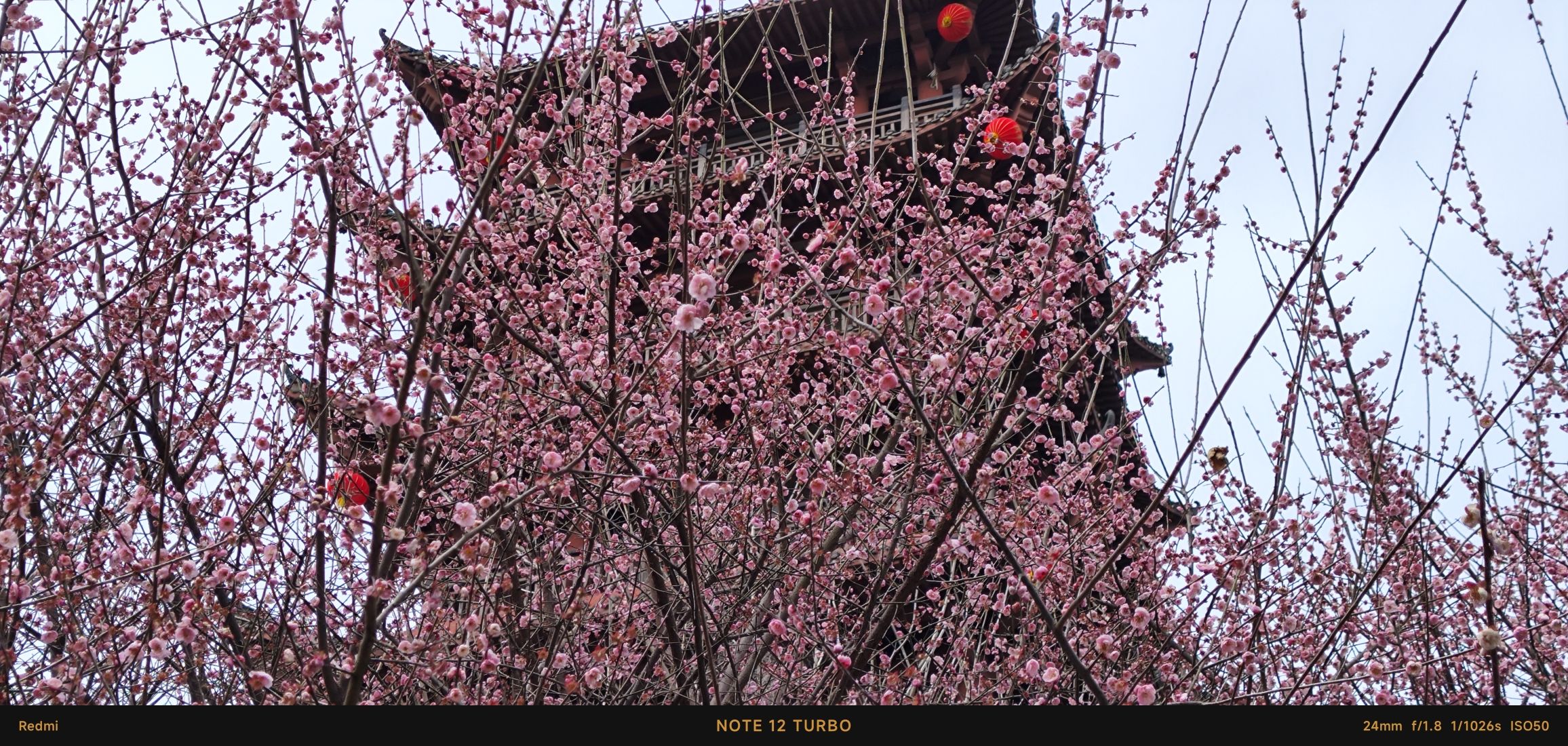 永州白石山公园旅行图片 3