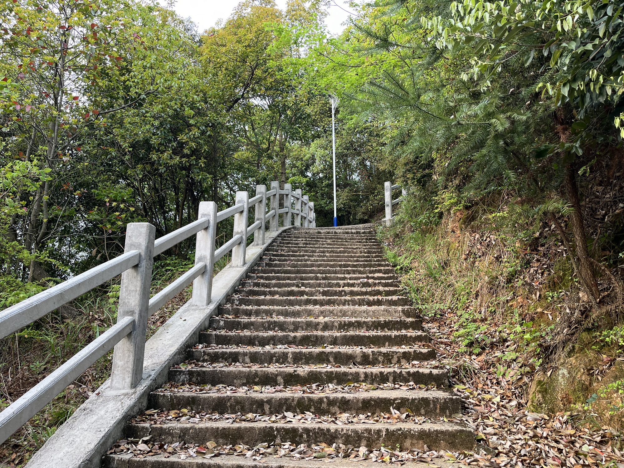 麂山风景区旅行图片 1