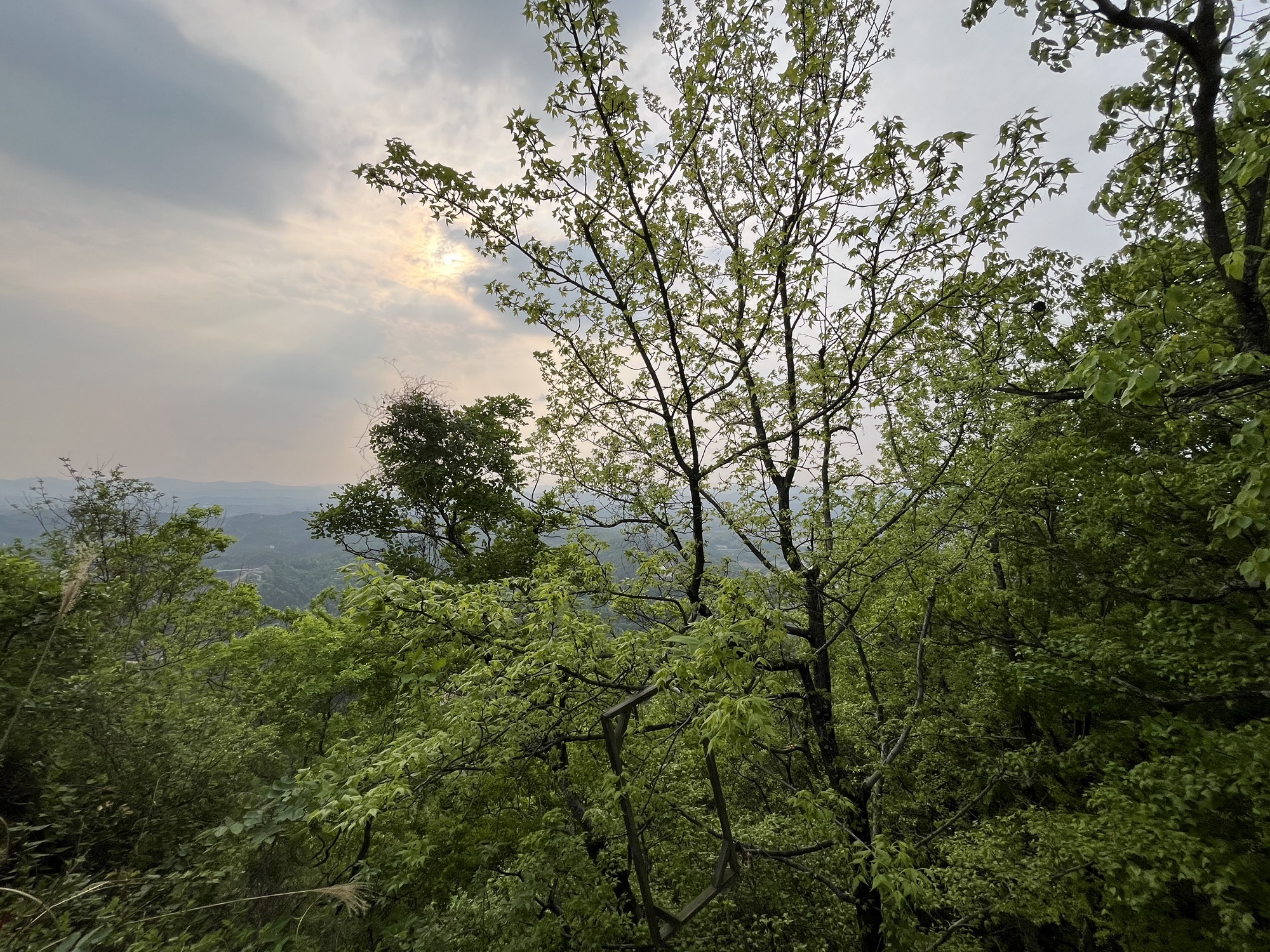 麂山风景区旅行图片 2