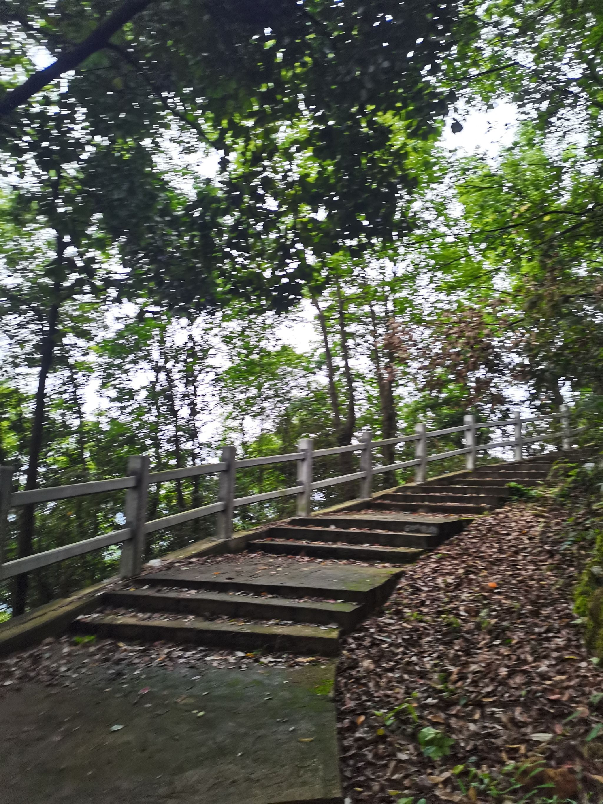 麂山风景区旅行图片 1