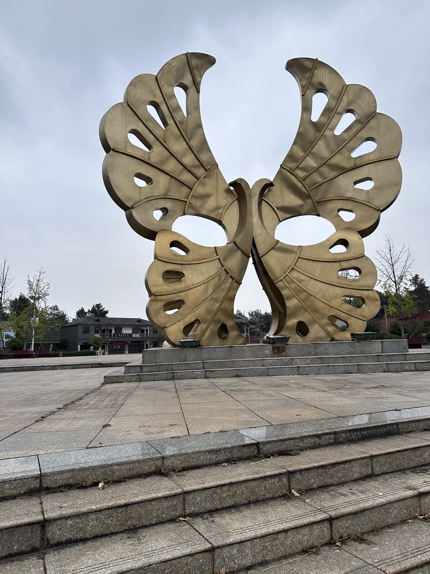 宝盖银杏广场旅行图片 1