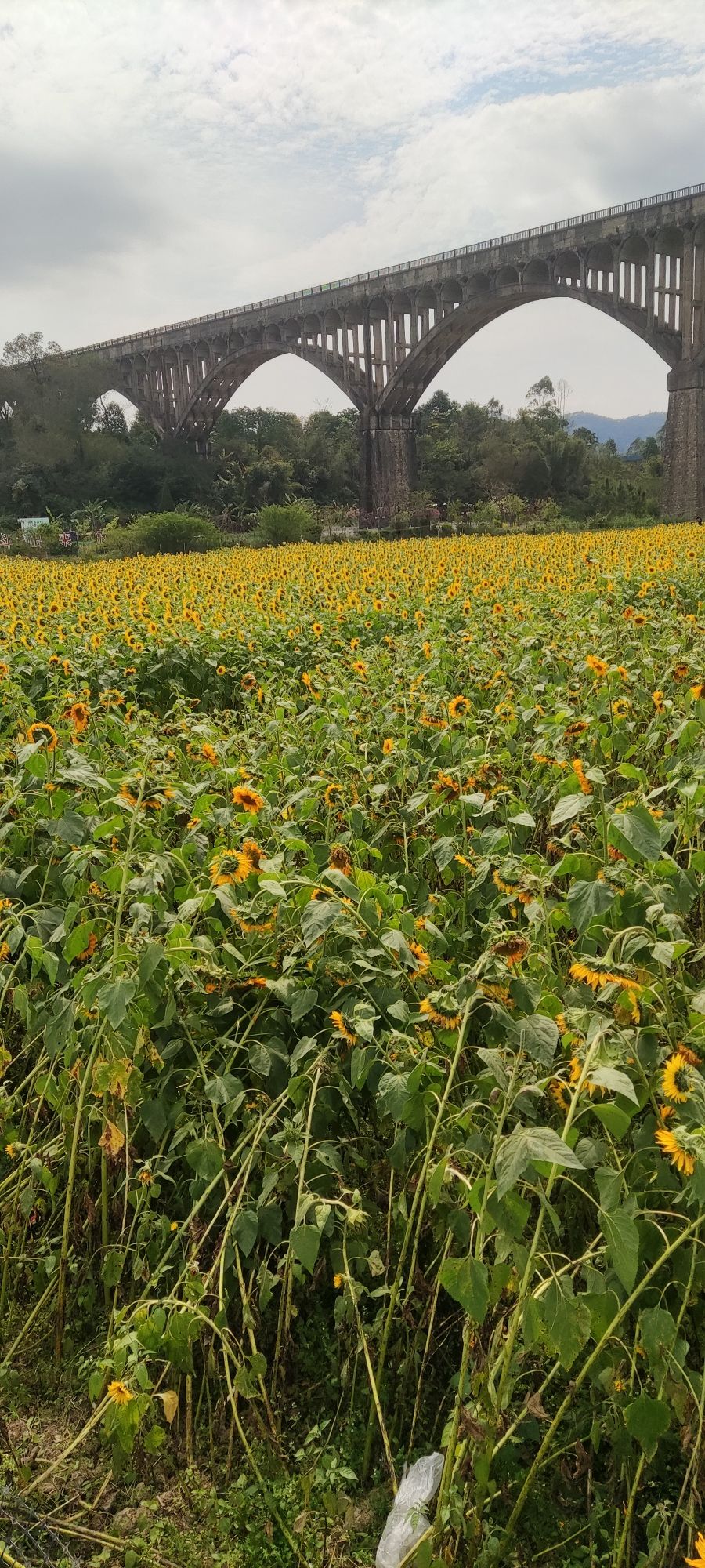 长岗坡渡槽旅行图片 1