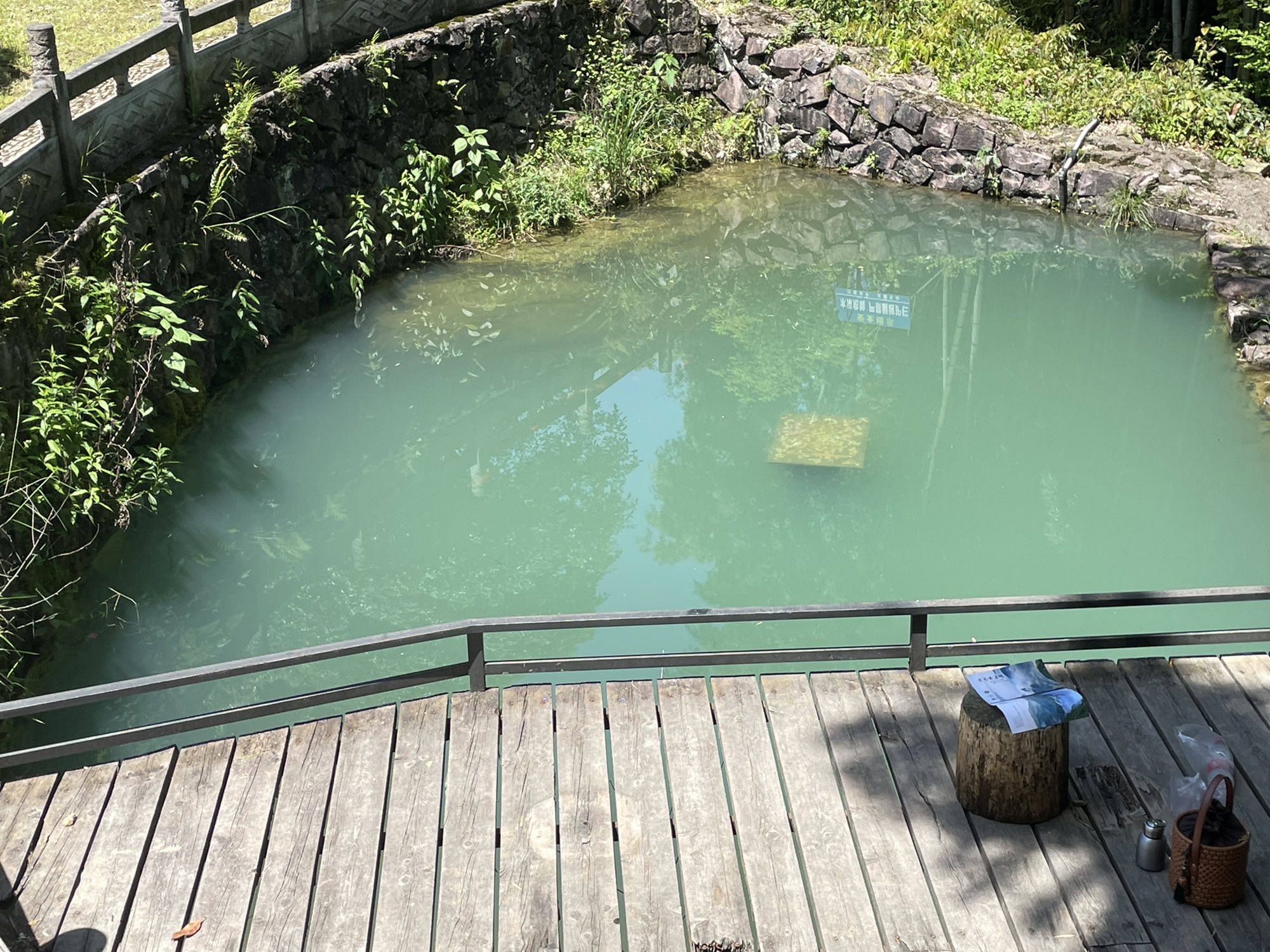 仙居白塔人工湖旅行图片 3