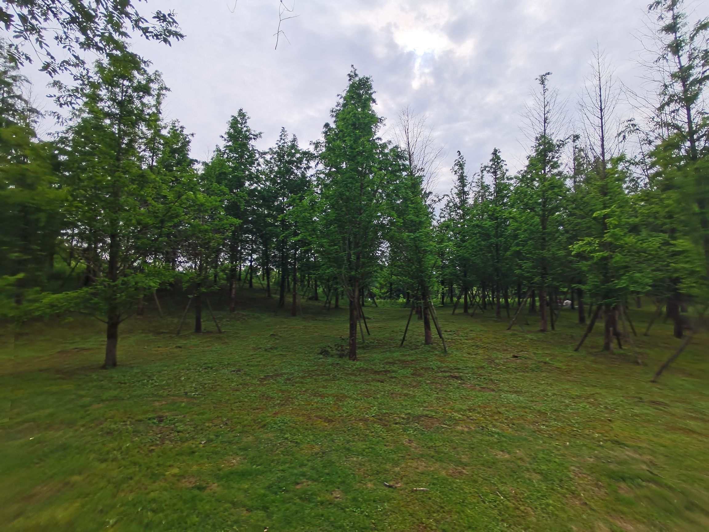 仙居白塔人工湖旅行图片 2